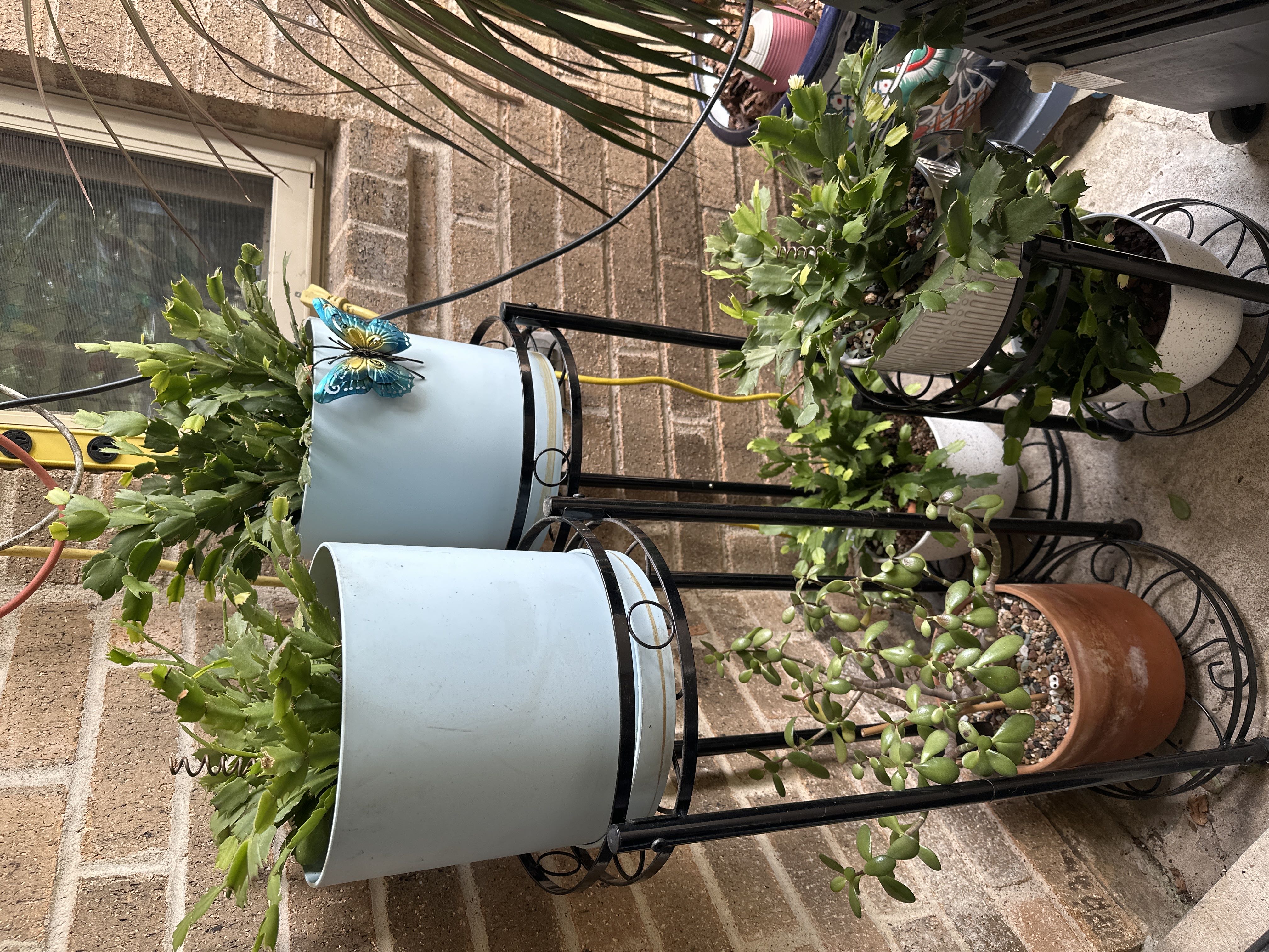 Photo from the post