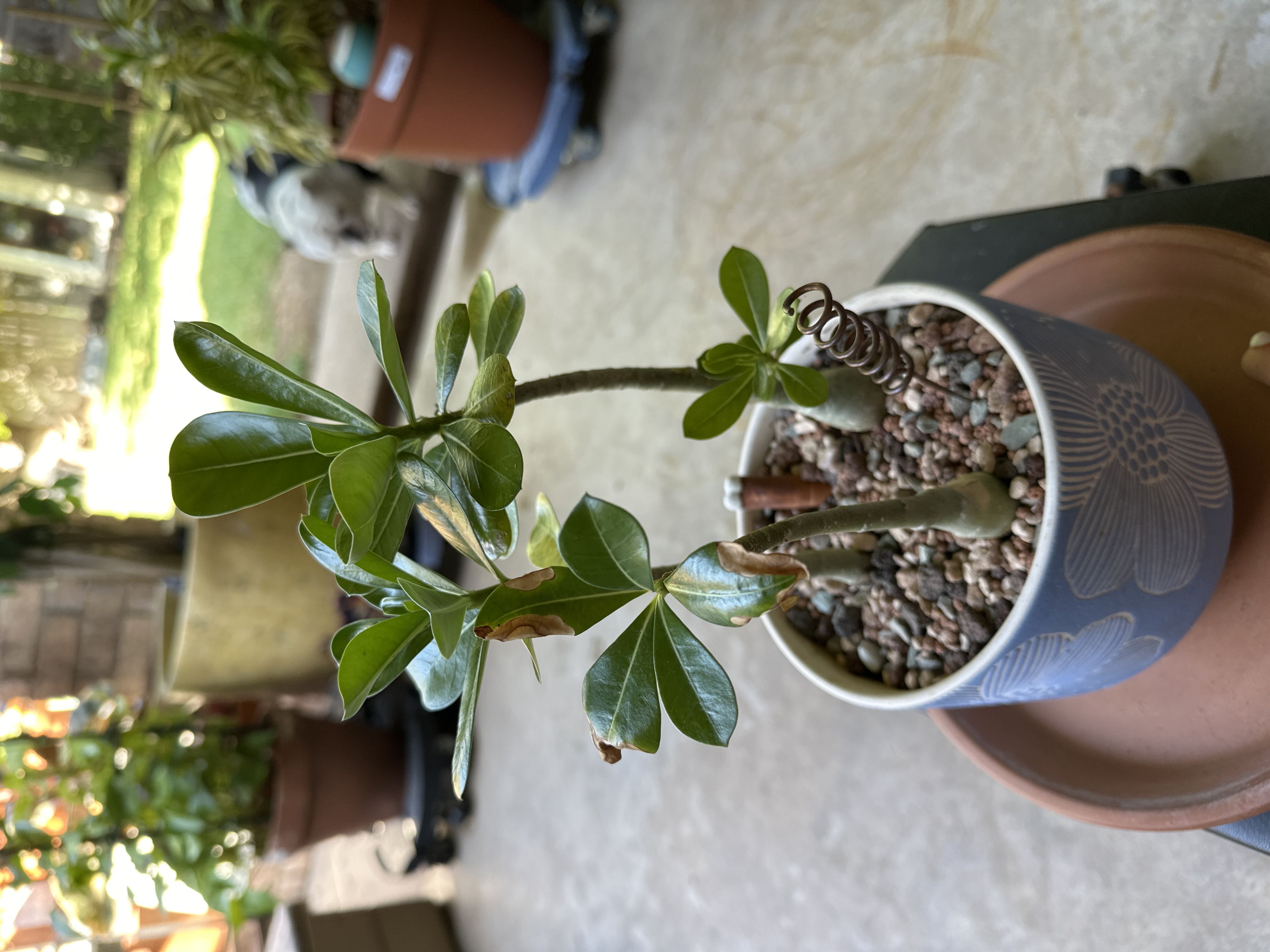 Photo from the post