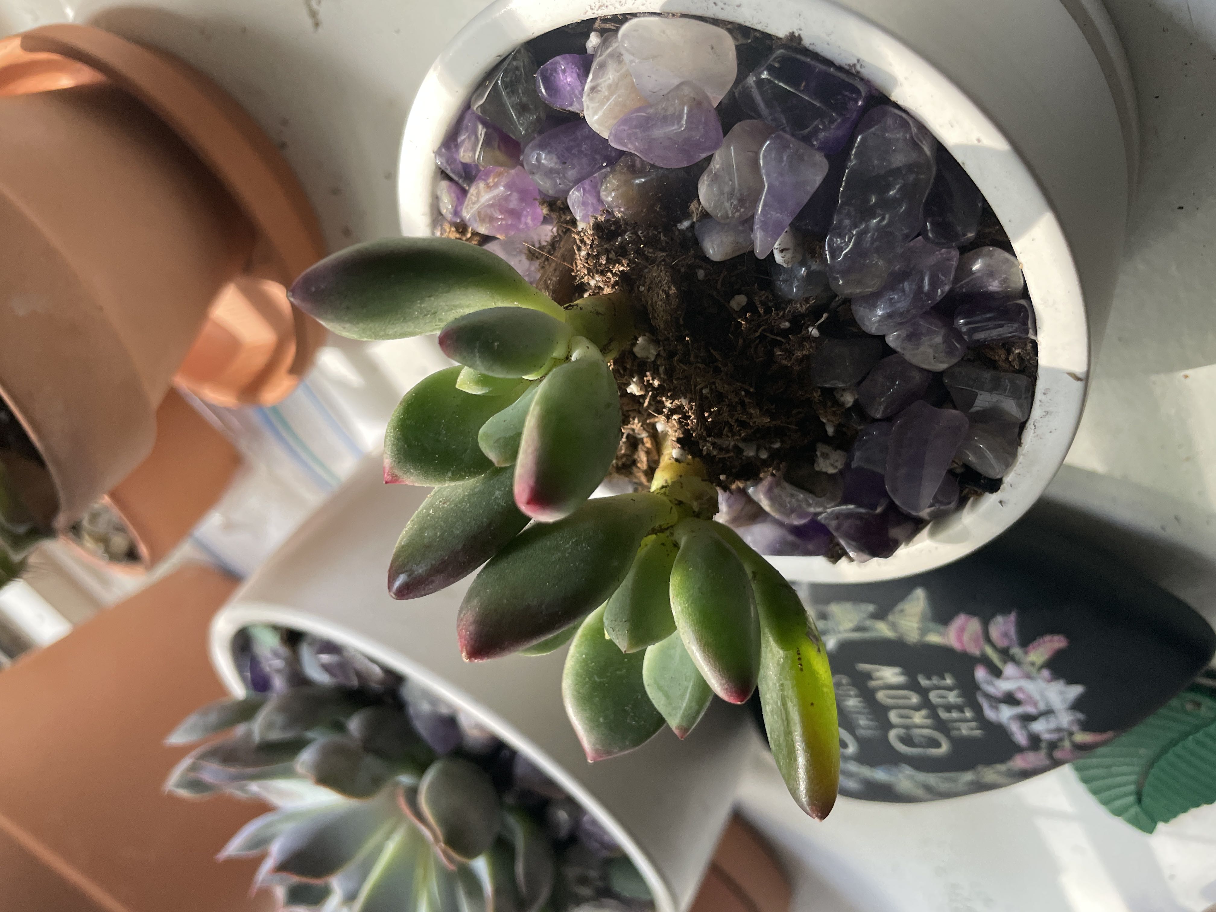 Photo from the post