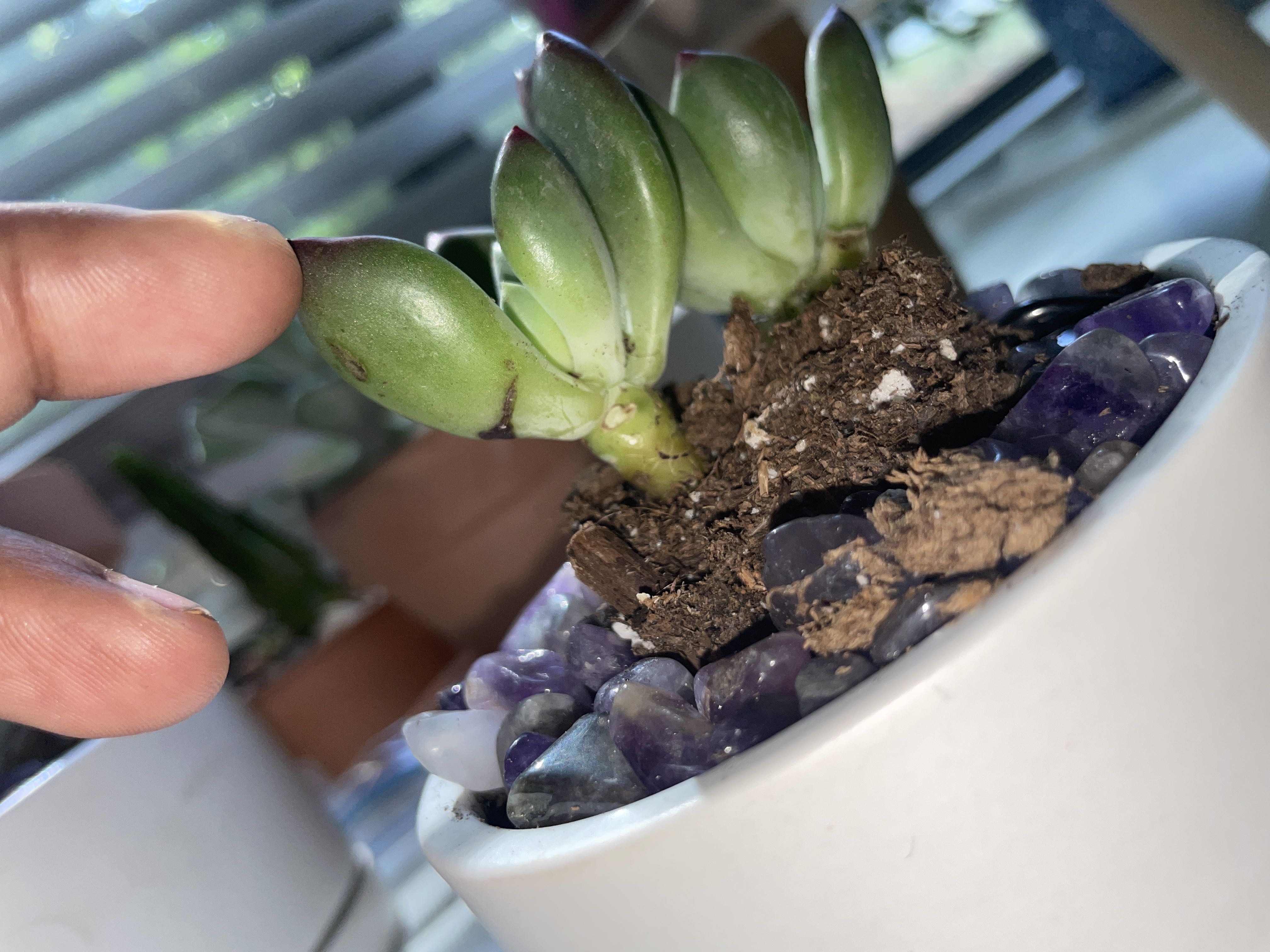 Photo from the post