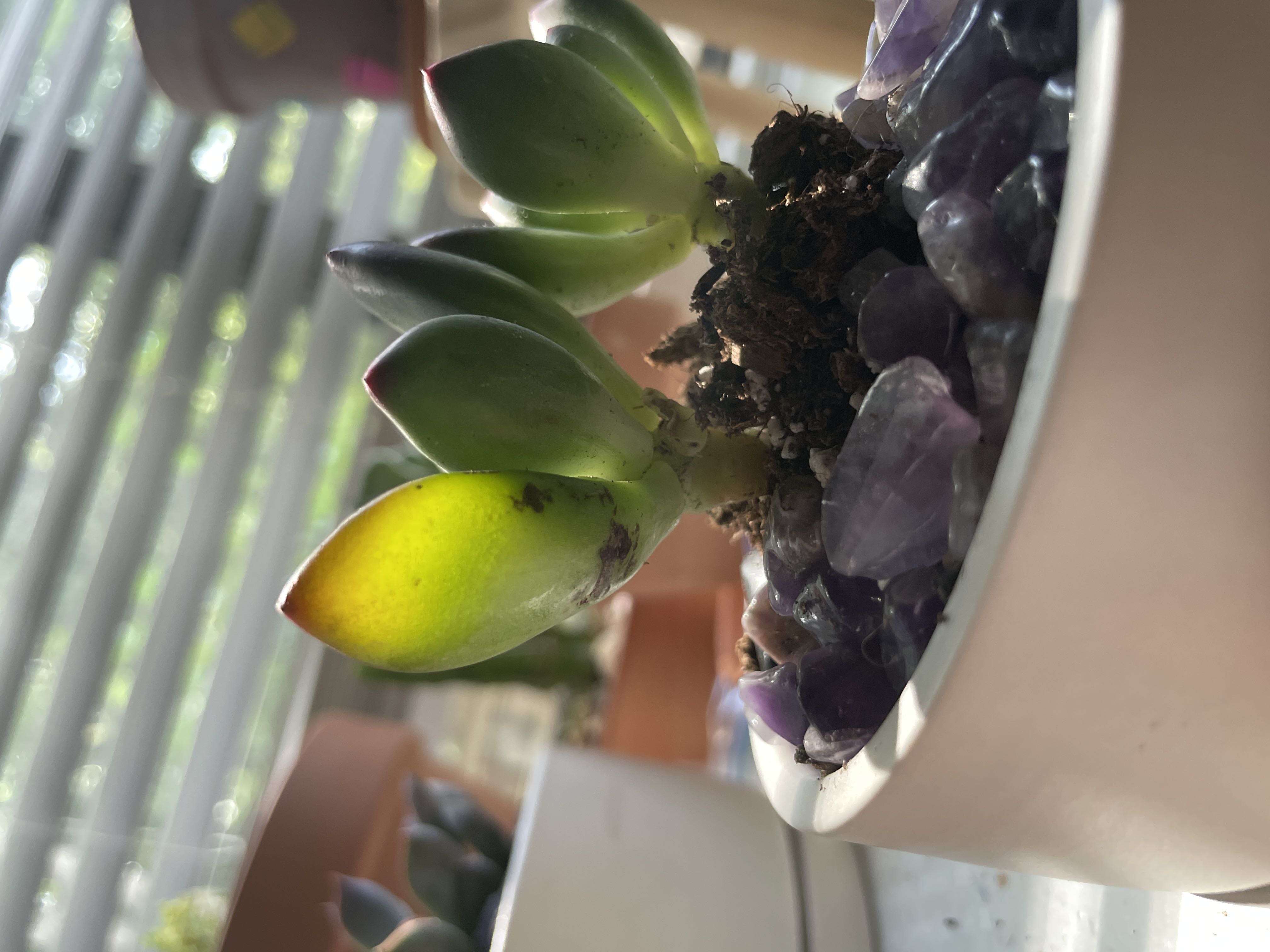 Photo from the post