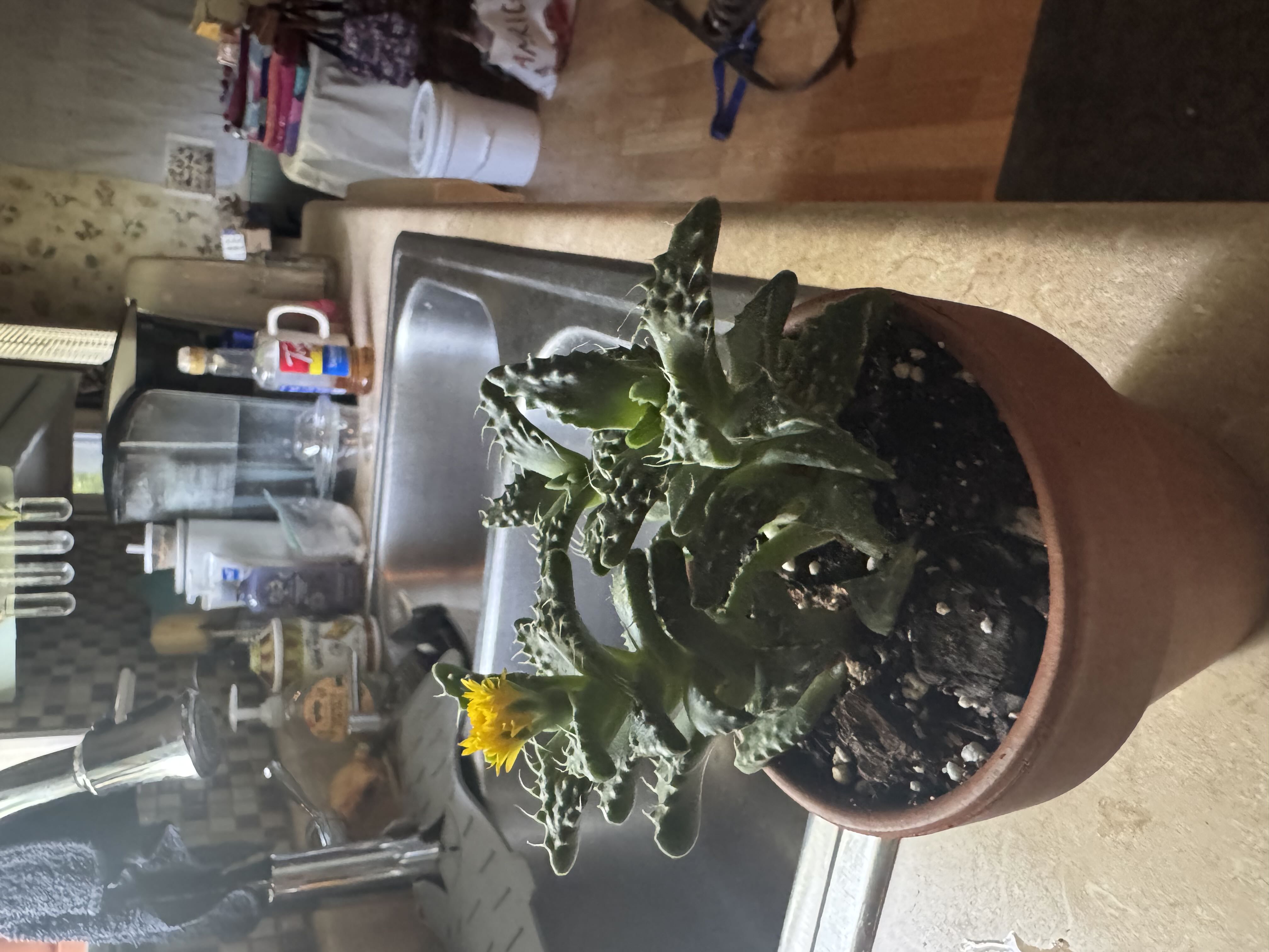 Photo from the post
