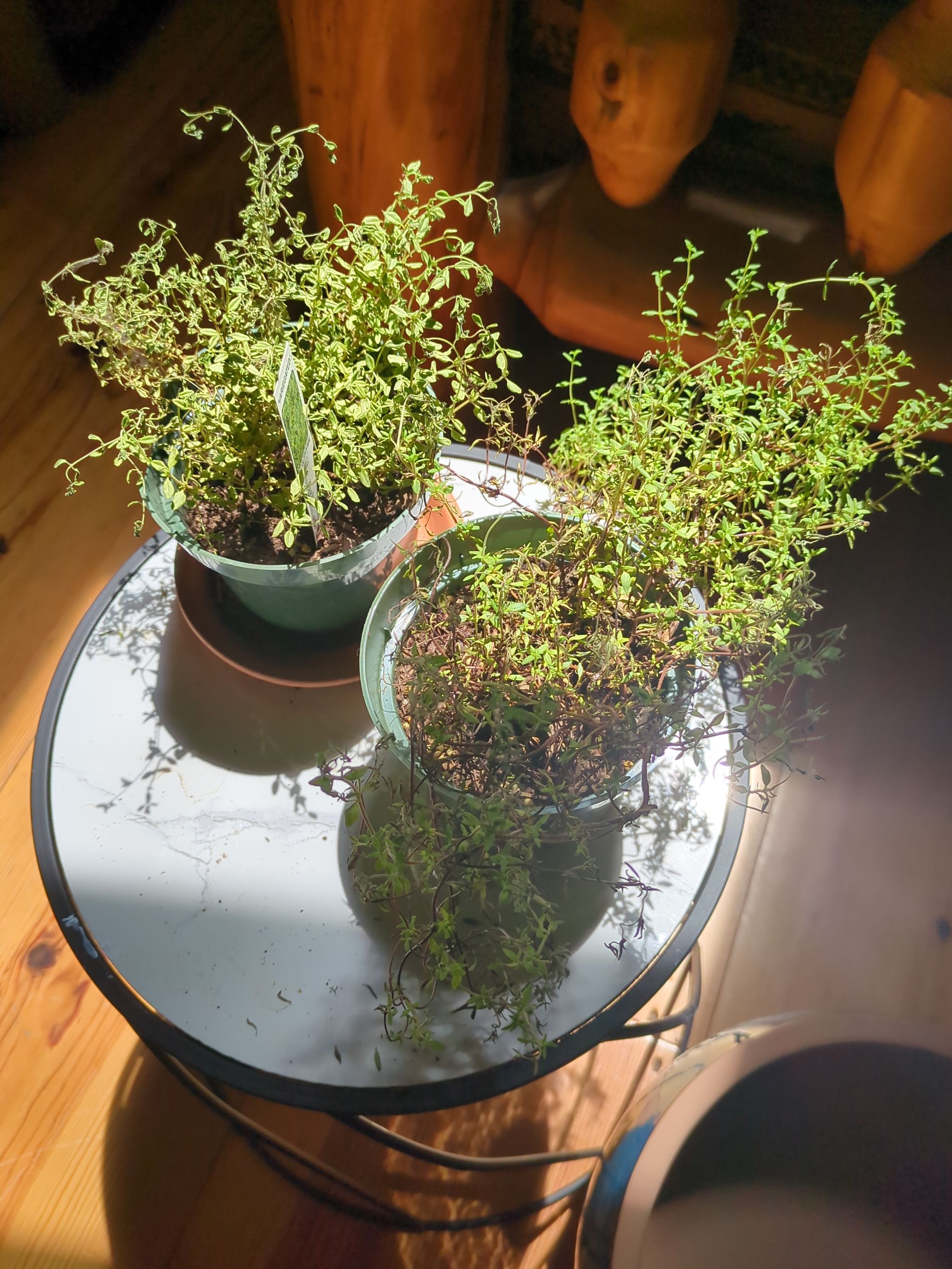 Photo from the post