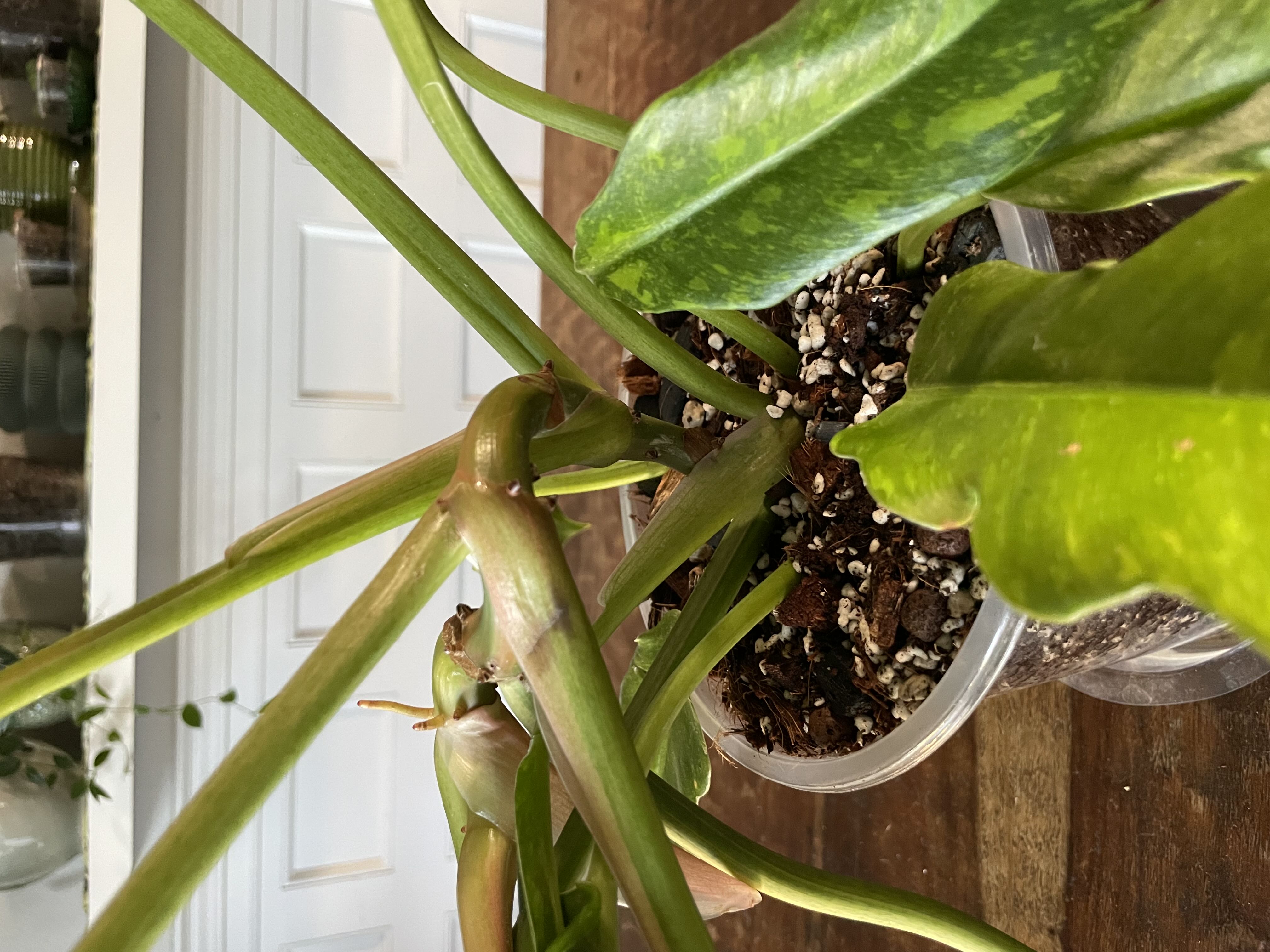Photo from the post
