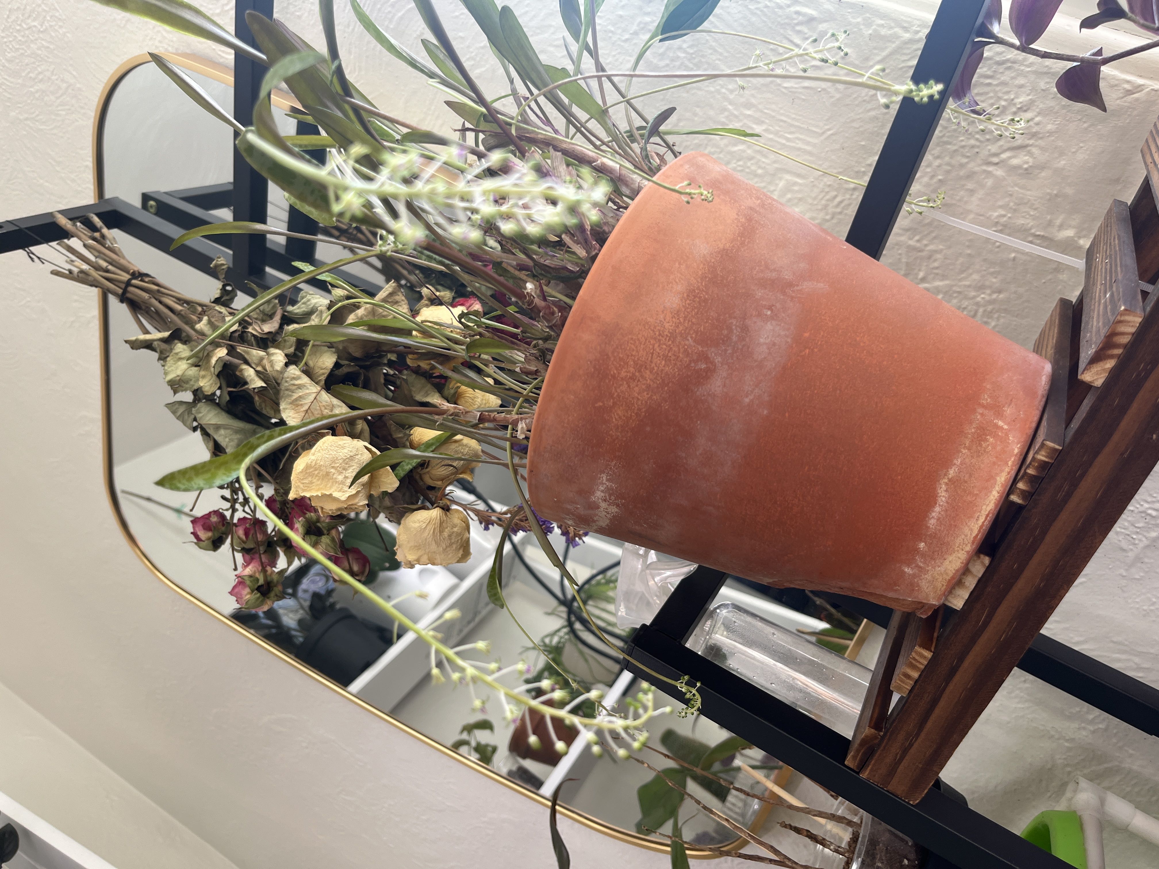 Photo from the post