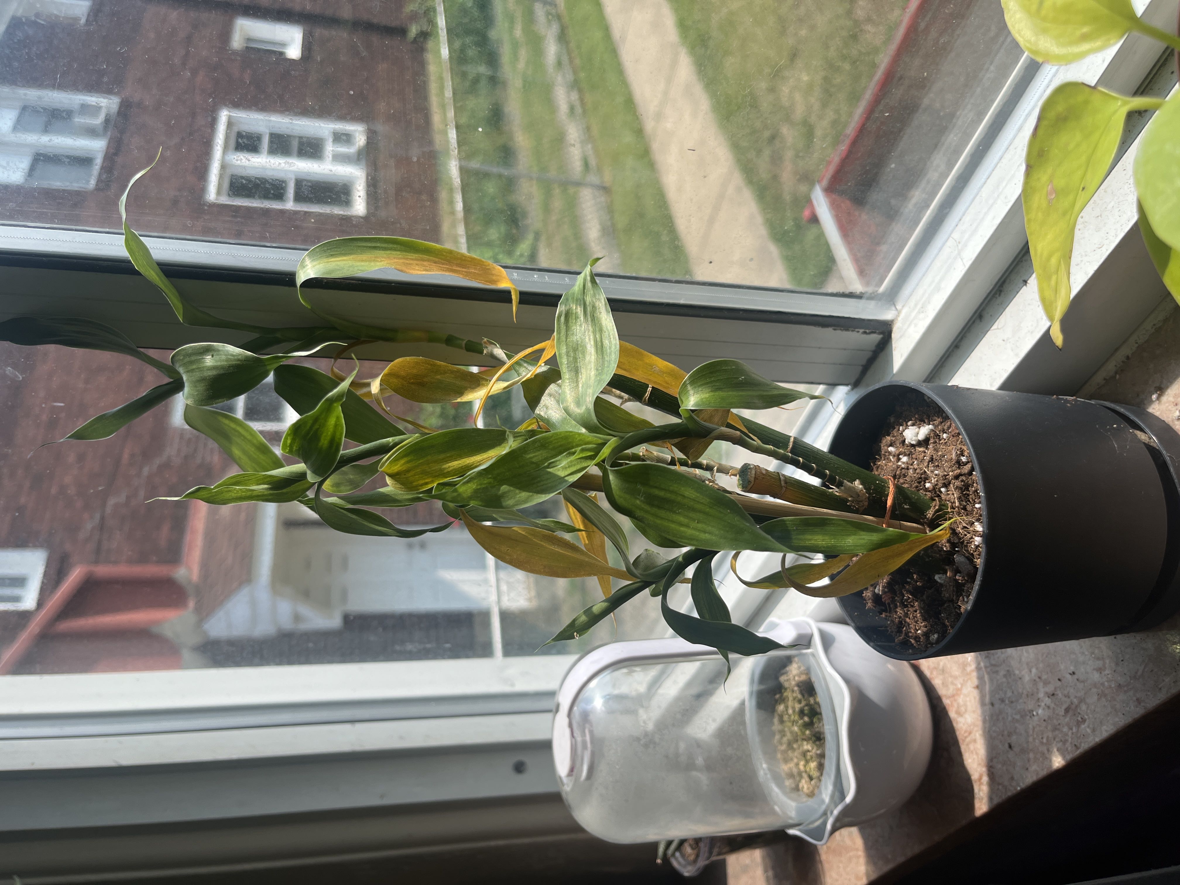 Photo from the post