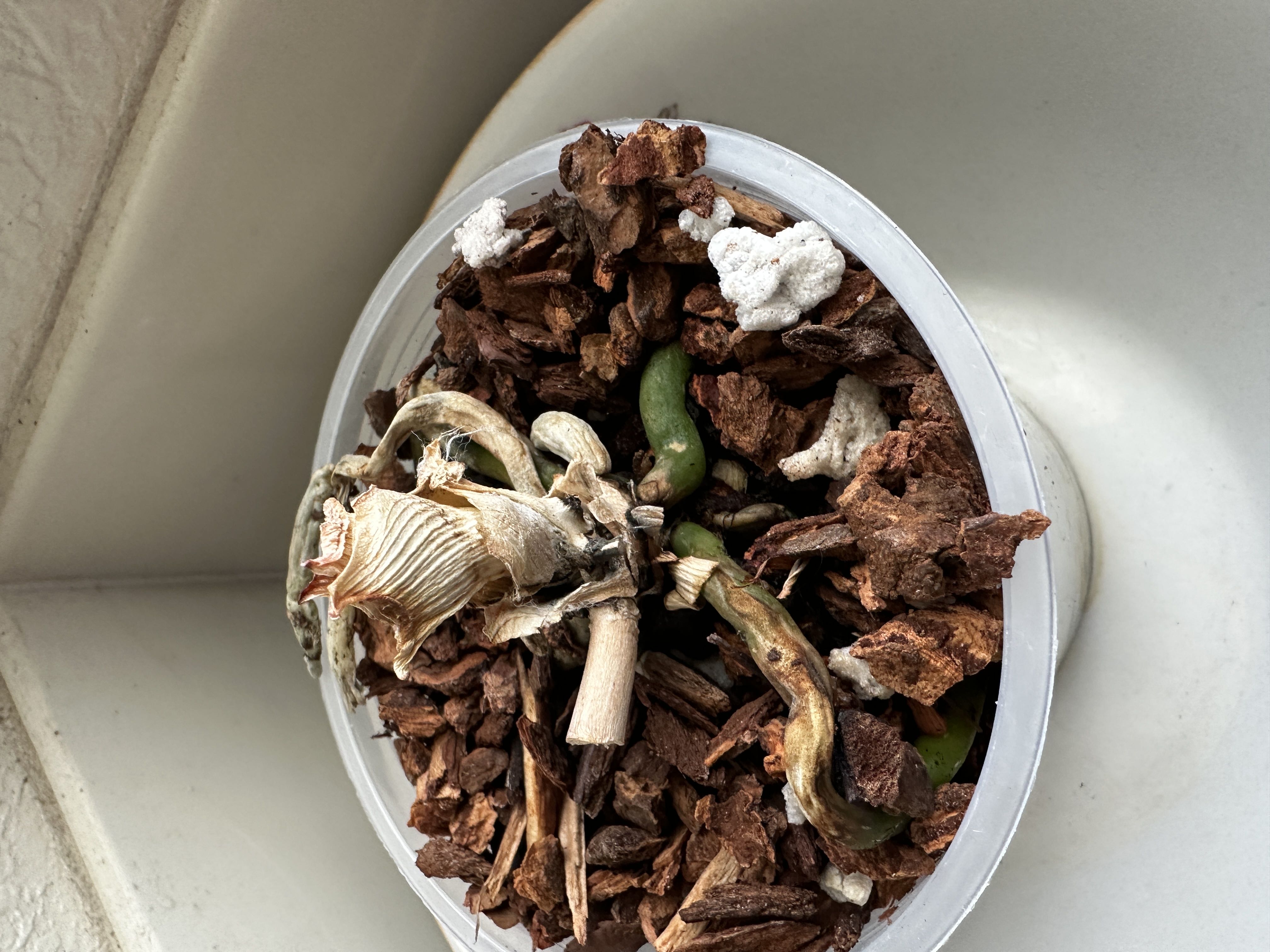 Photo from the post