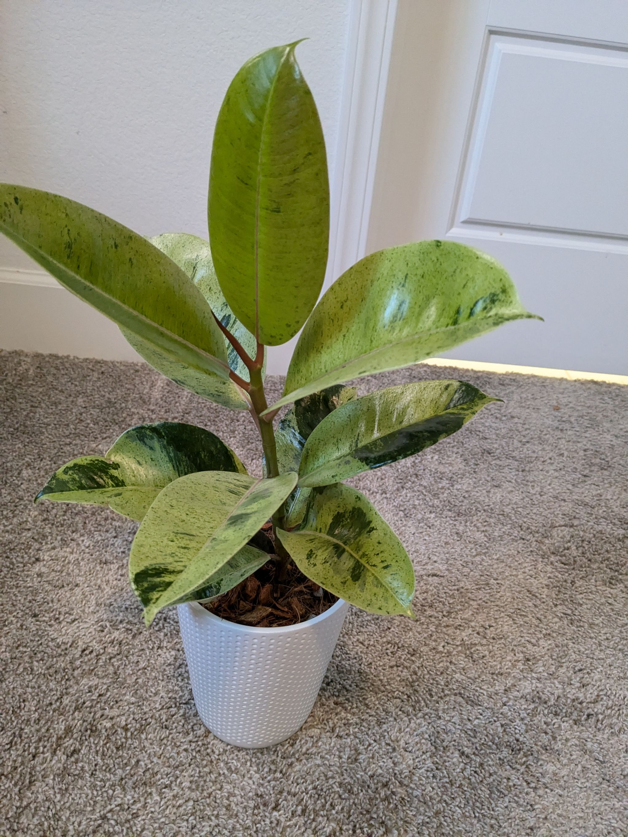 Photo from the post