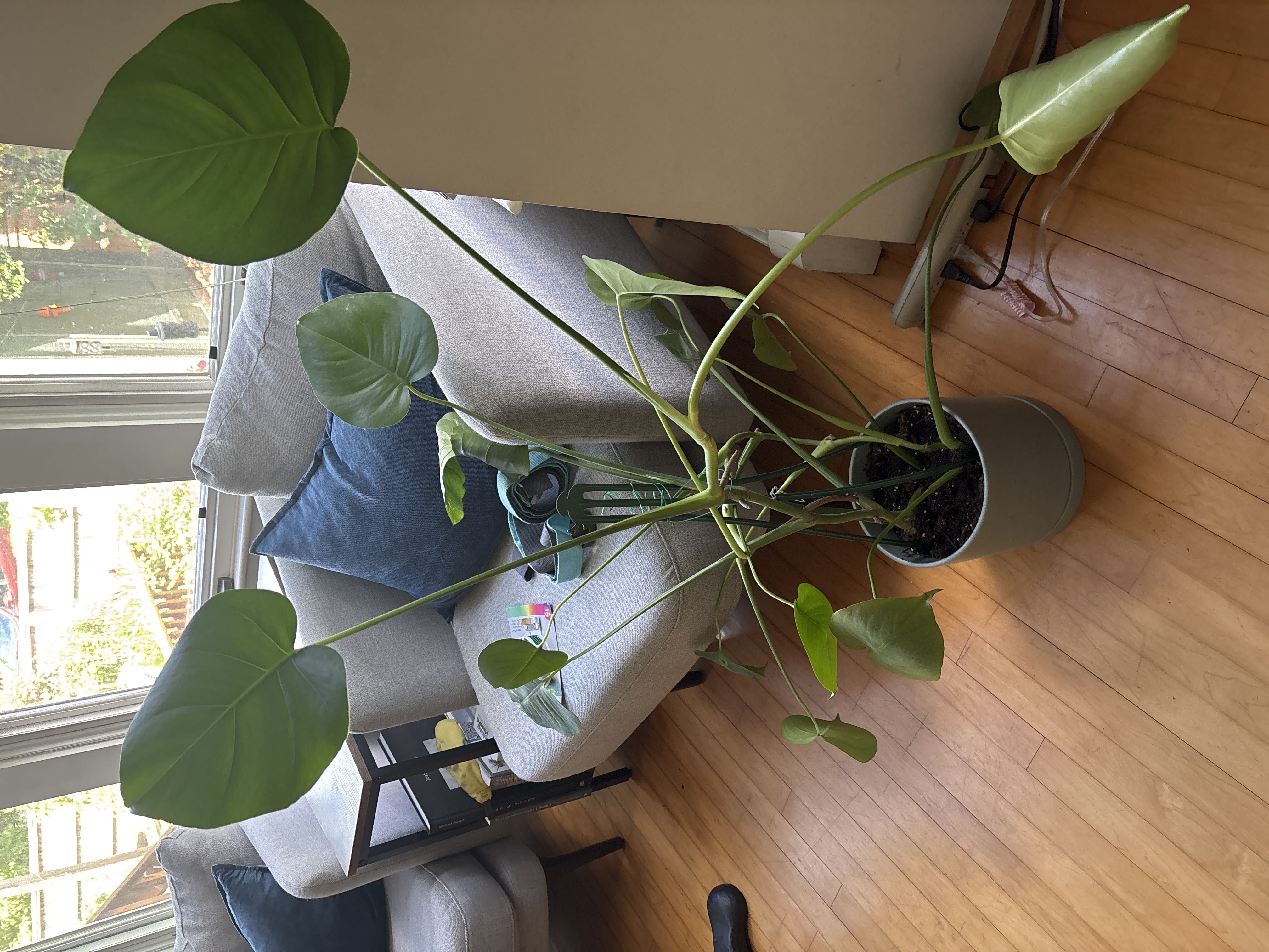 Photo from the post