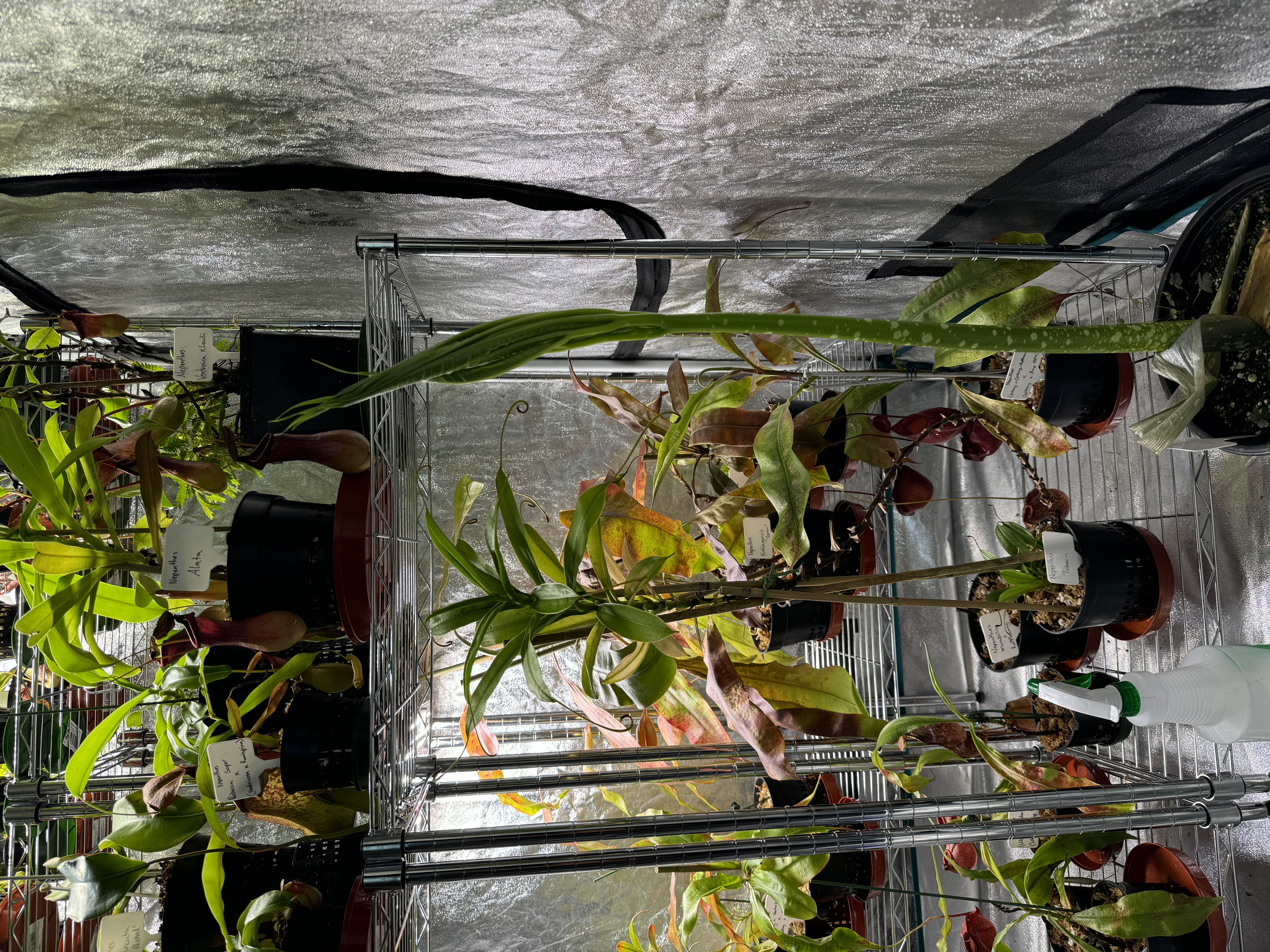 Photo from the post