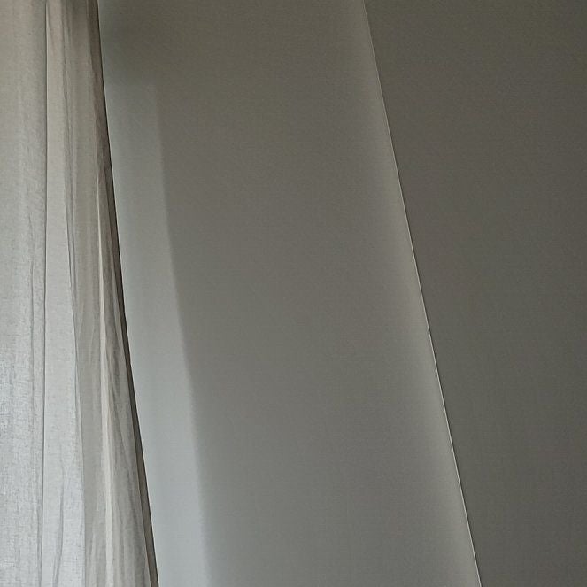 Photo of the plant species Low Shoebutton by @MovingSeaorache named Morgan Treeman on Greg, the plant care app