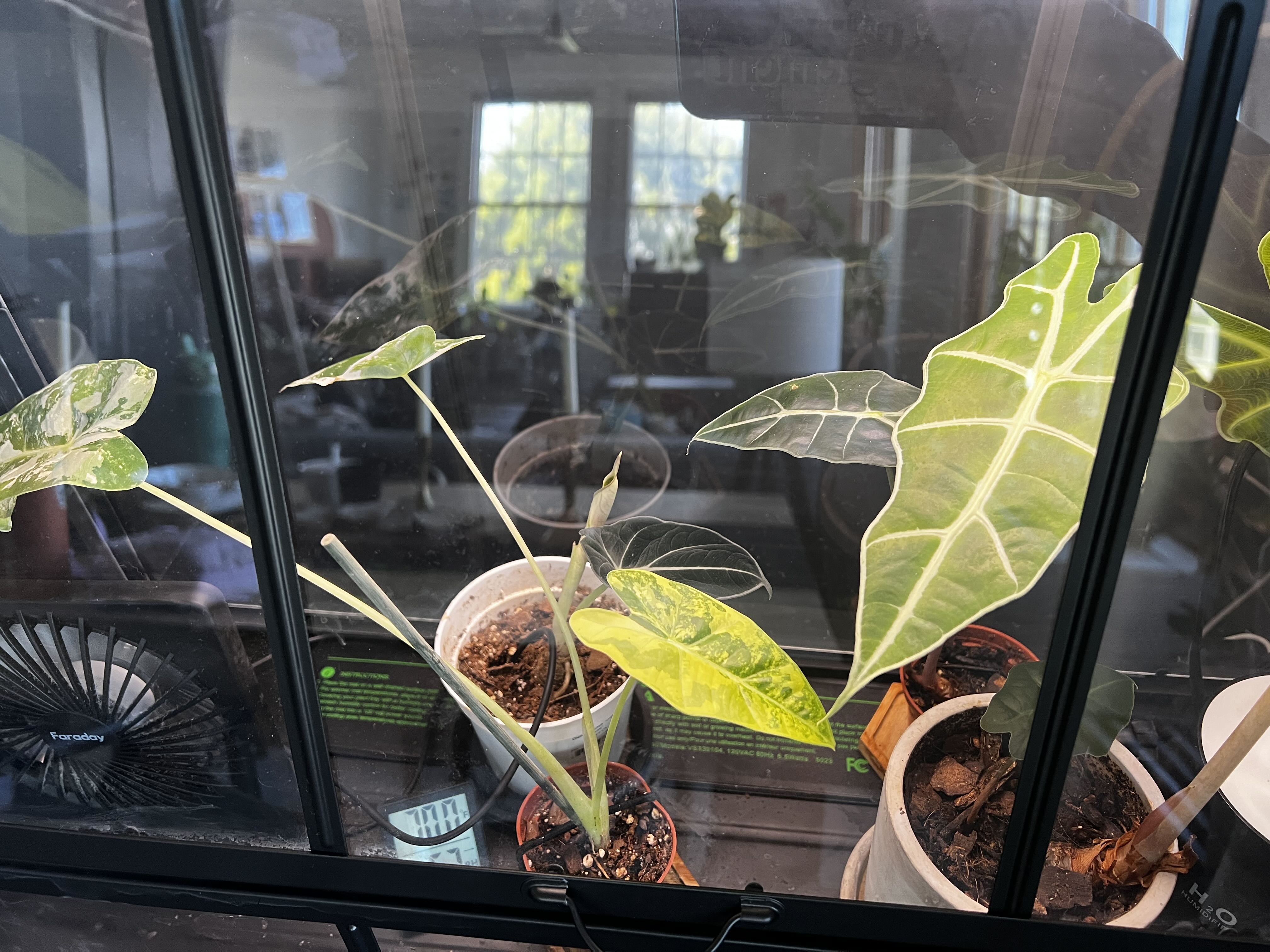 Photo from the post