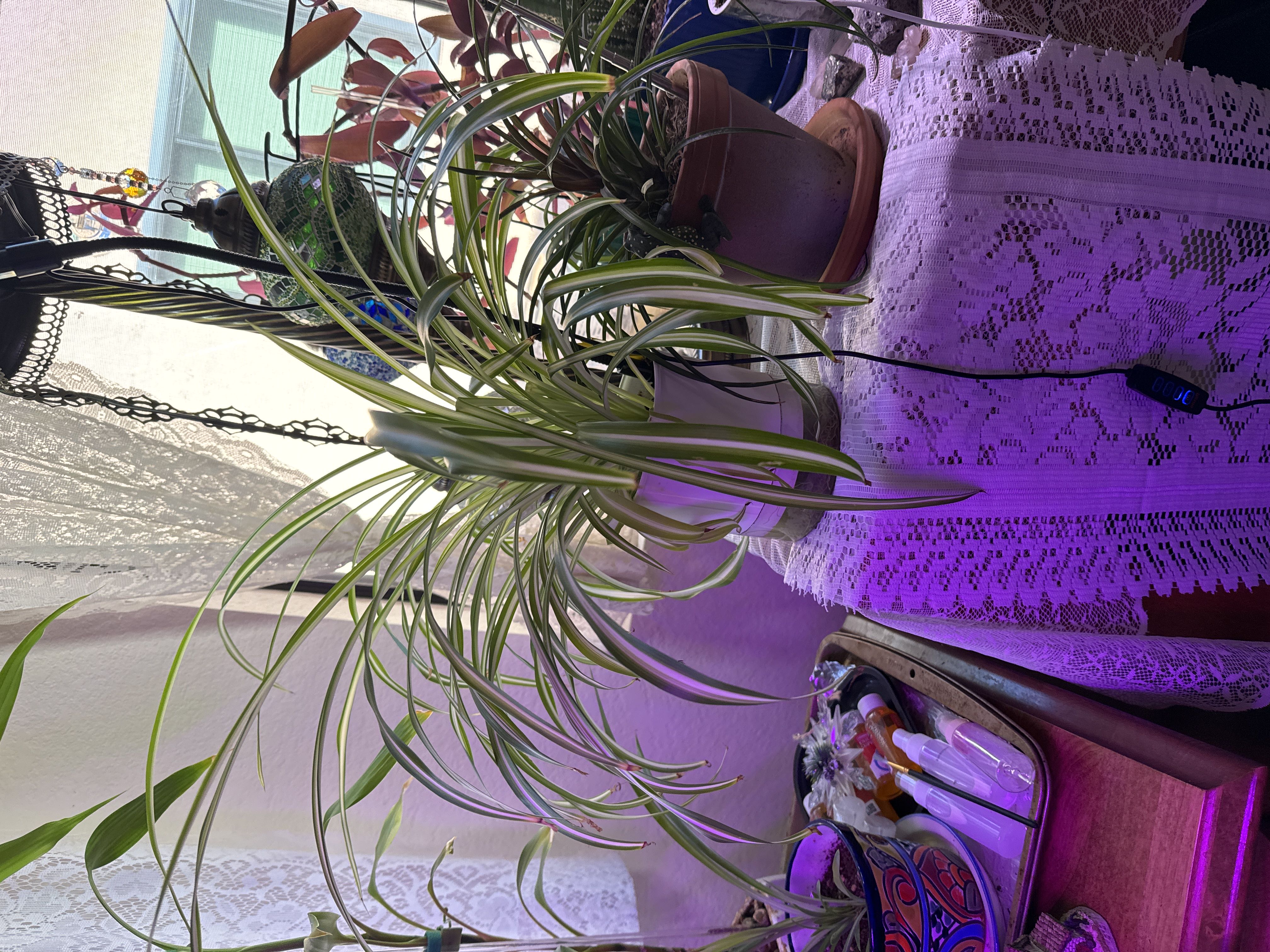 Photo from the post