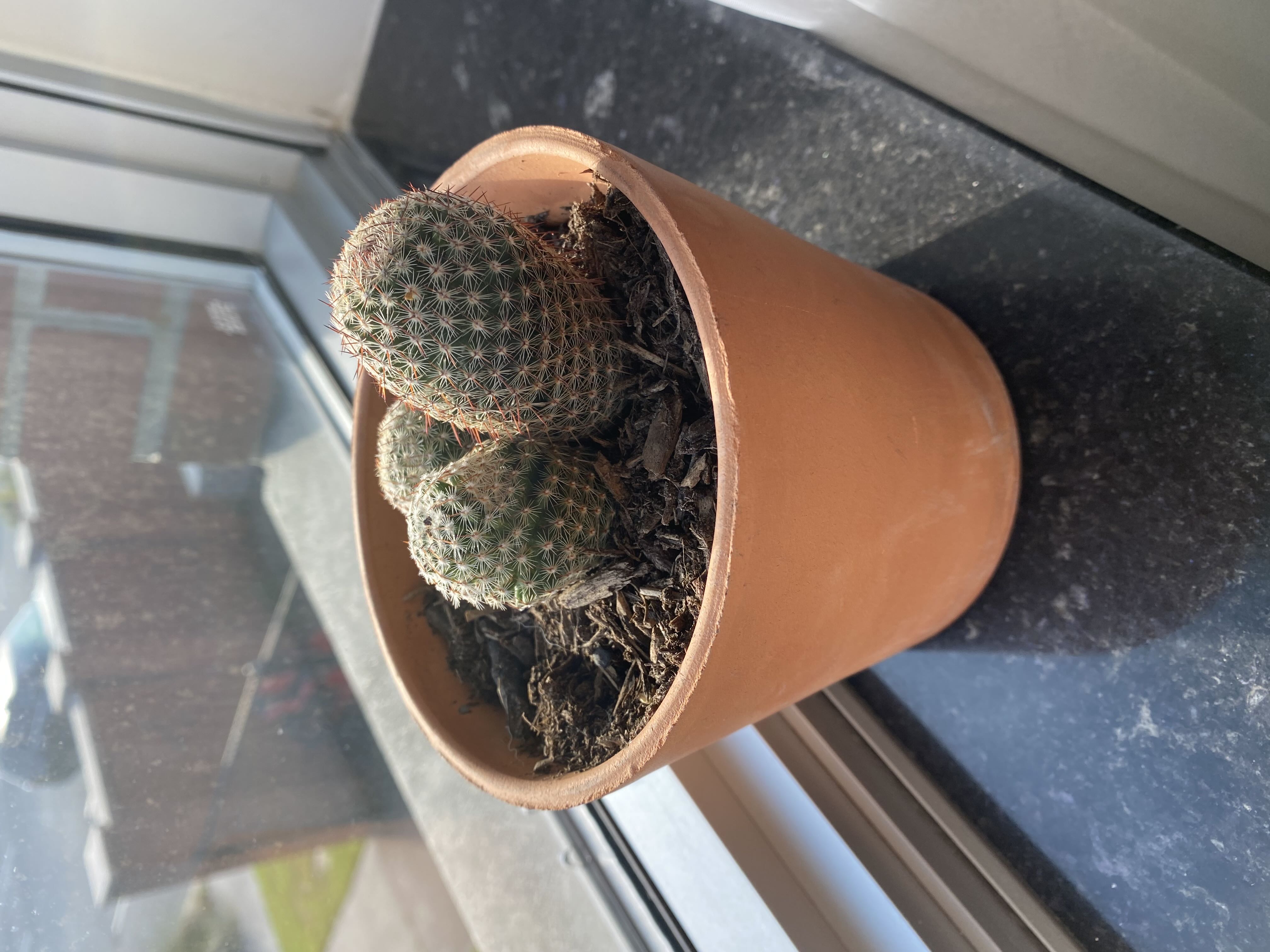 Photo from the post