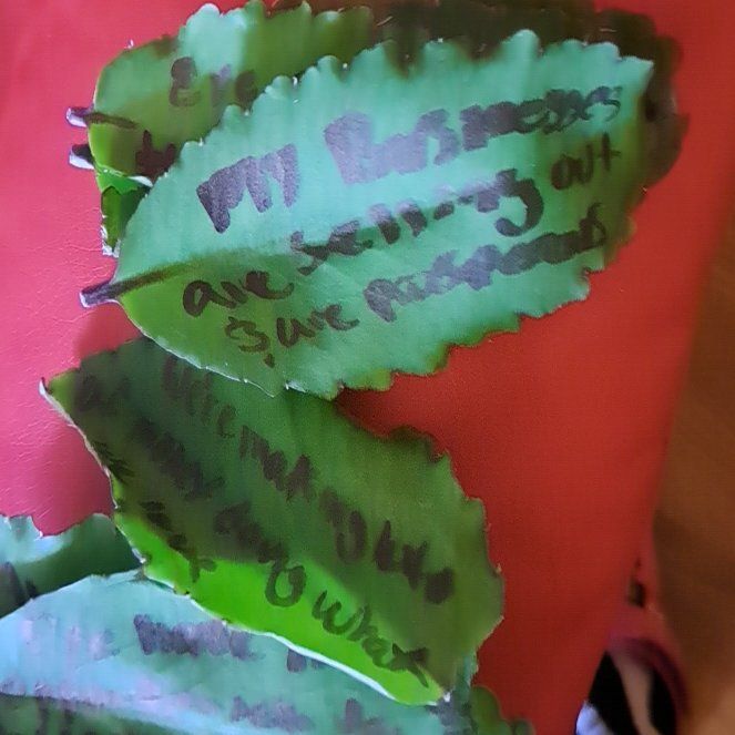Photo of the plant species Miracle Leaf plant by @VipSpurgelaurel named Fernie Mac on Greg, the plant care app
