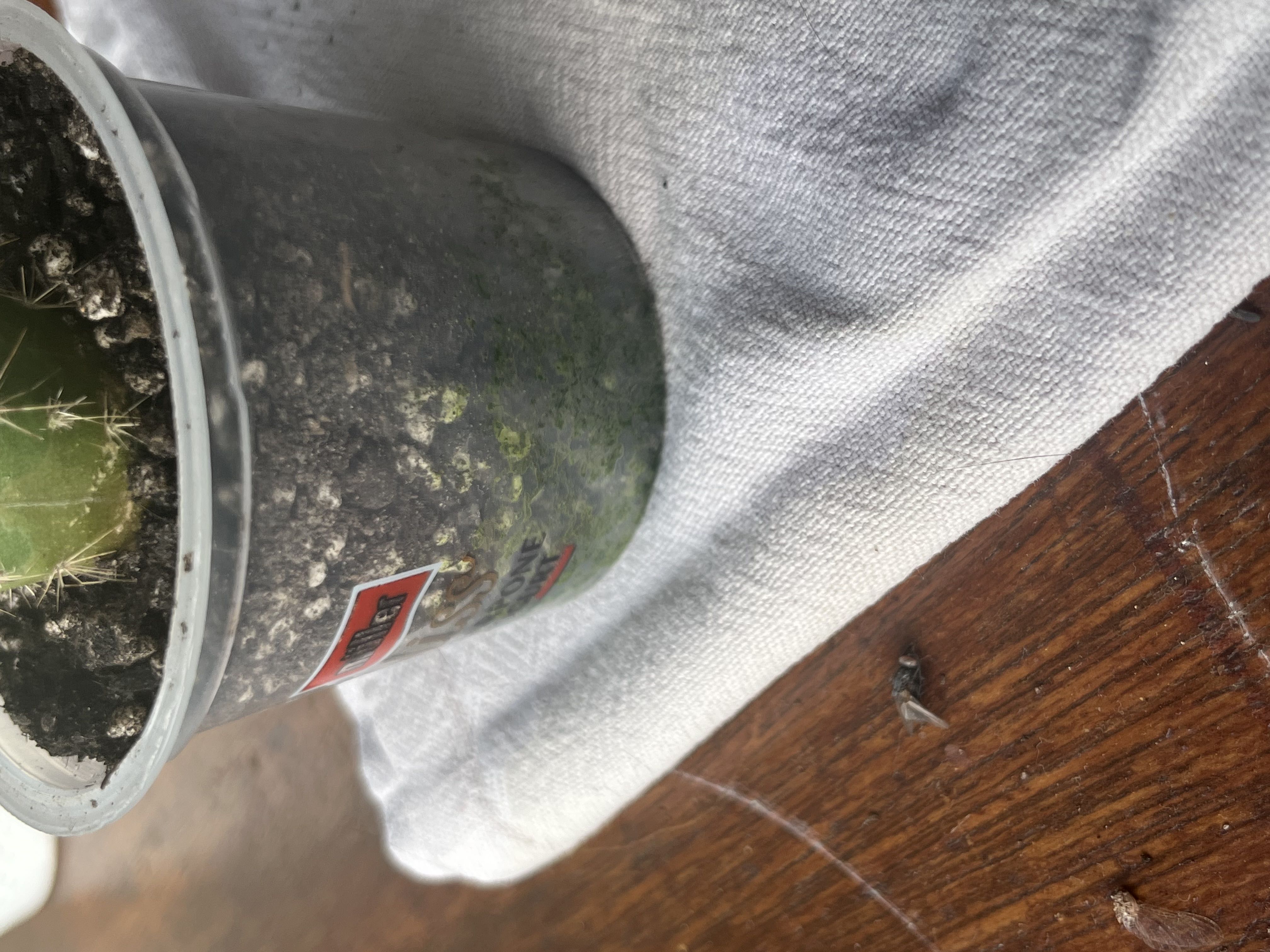 Photo from the post