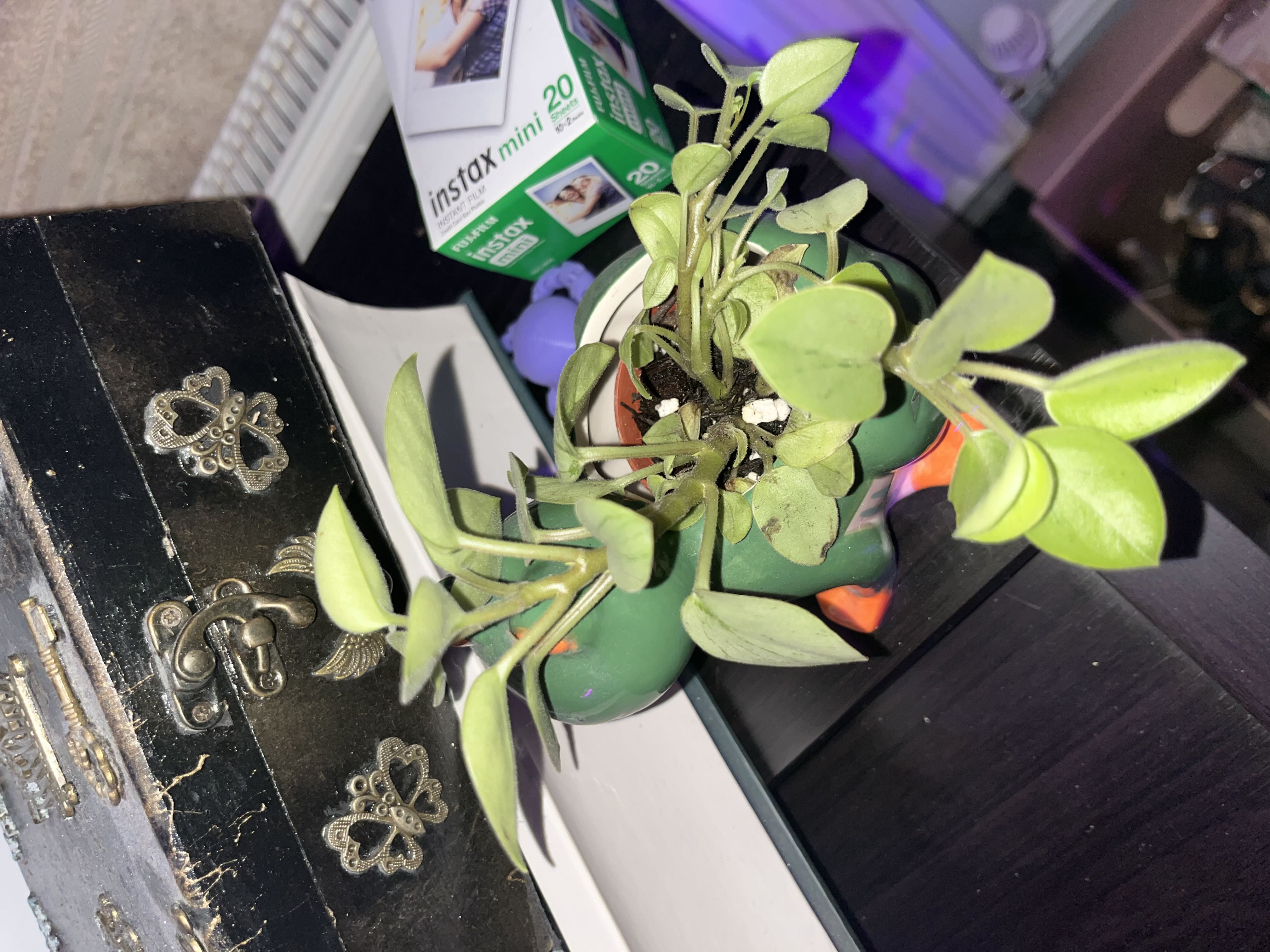 Photo from the post