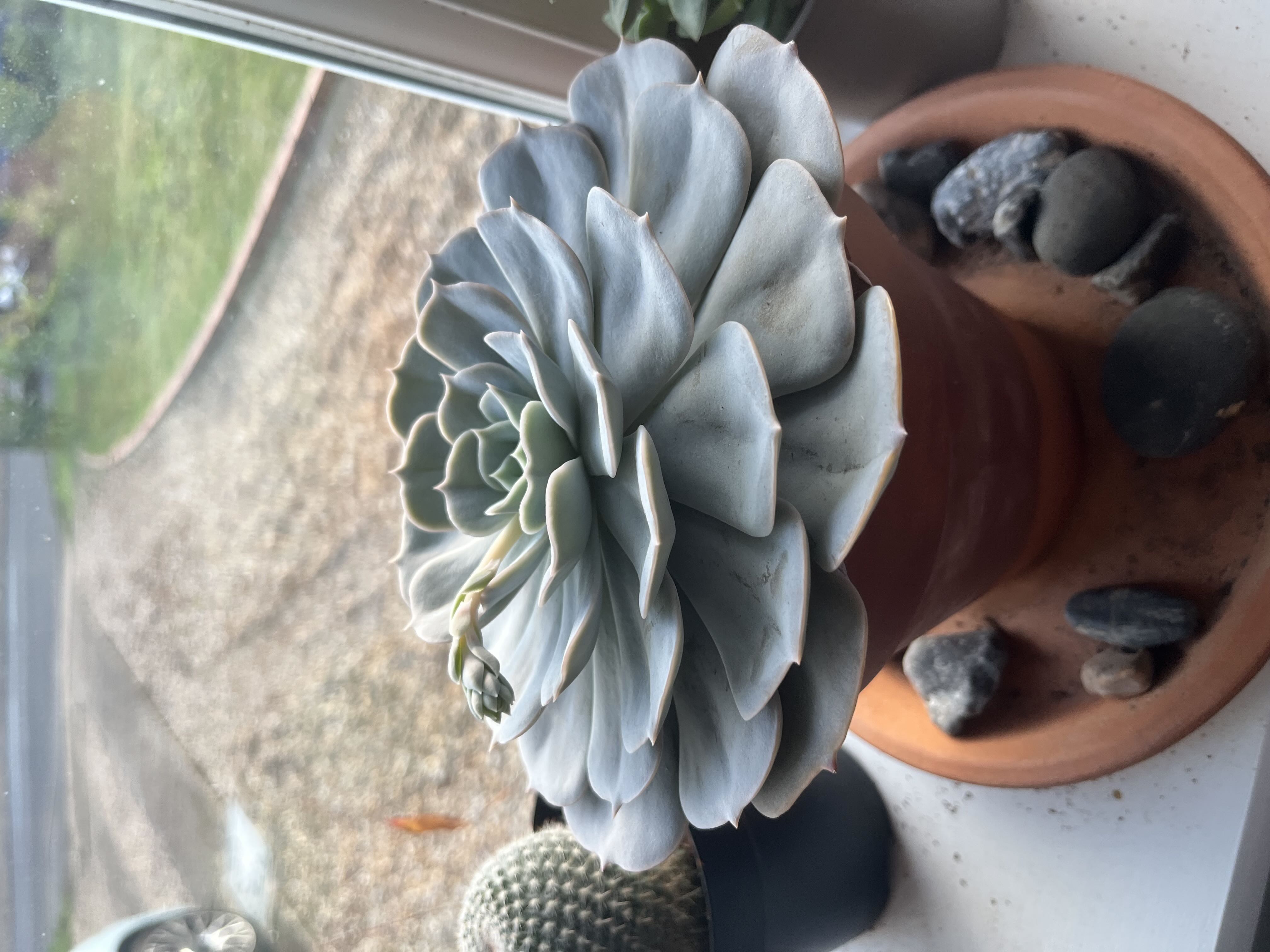 Photo from the post