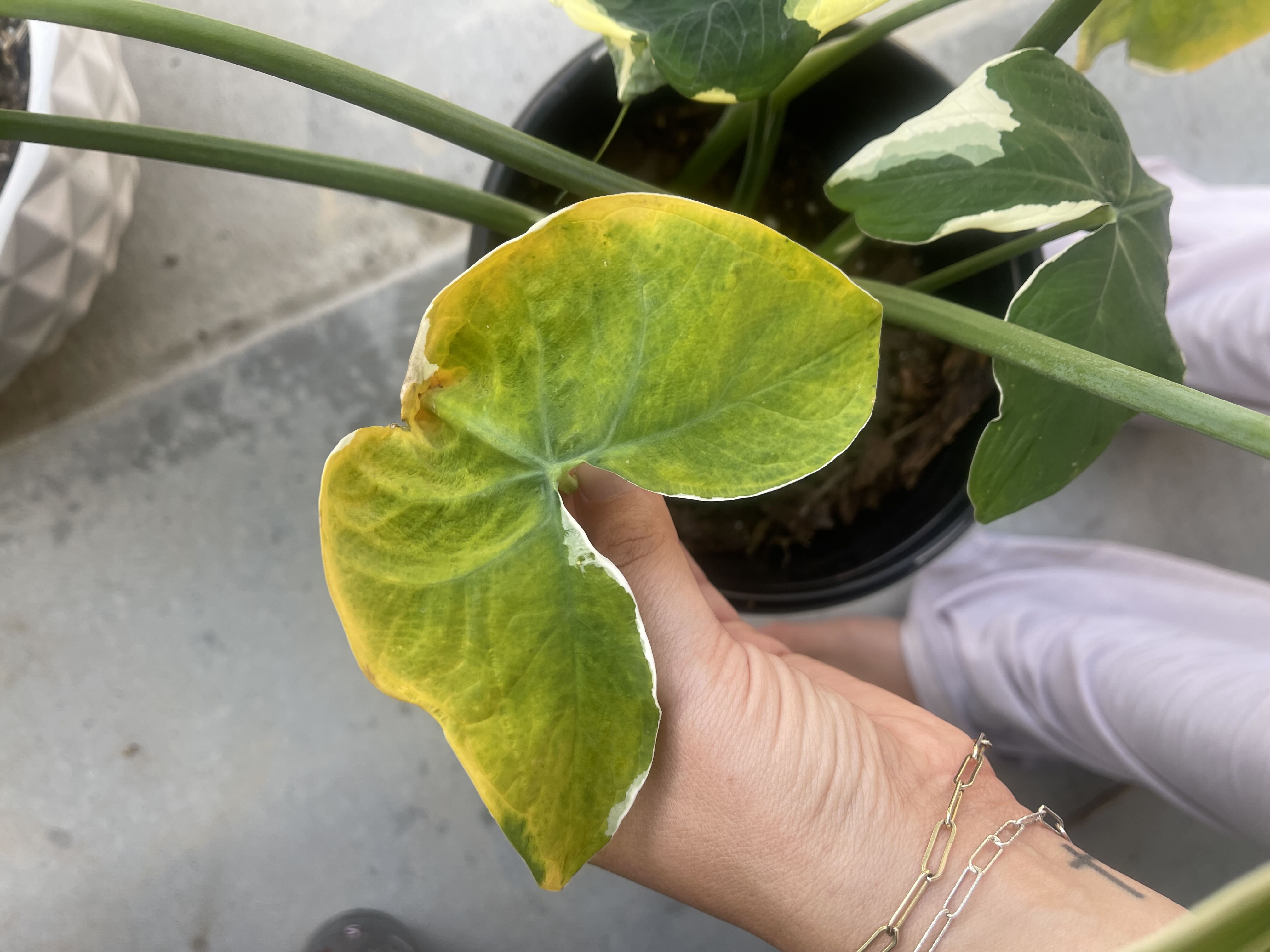 Photo from the post