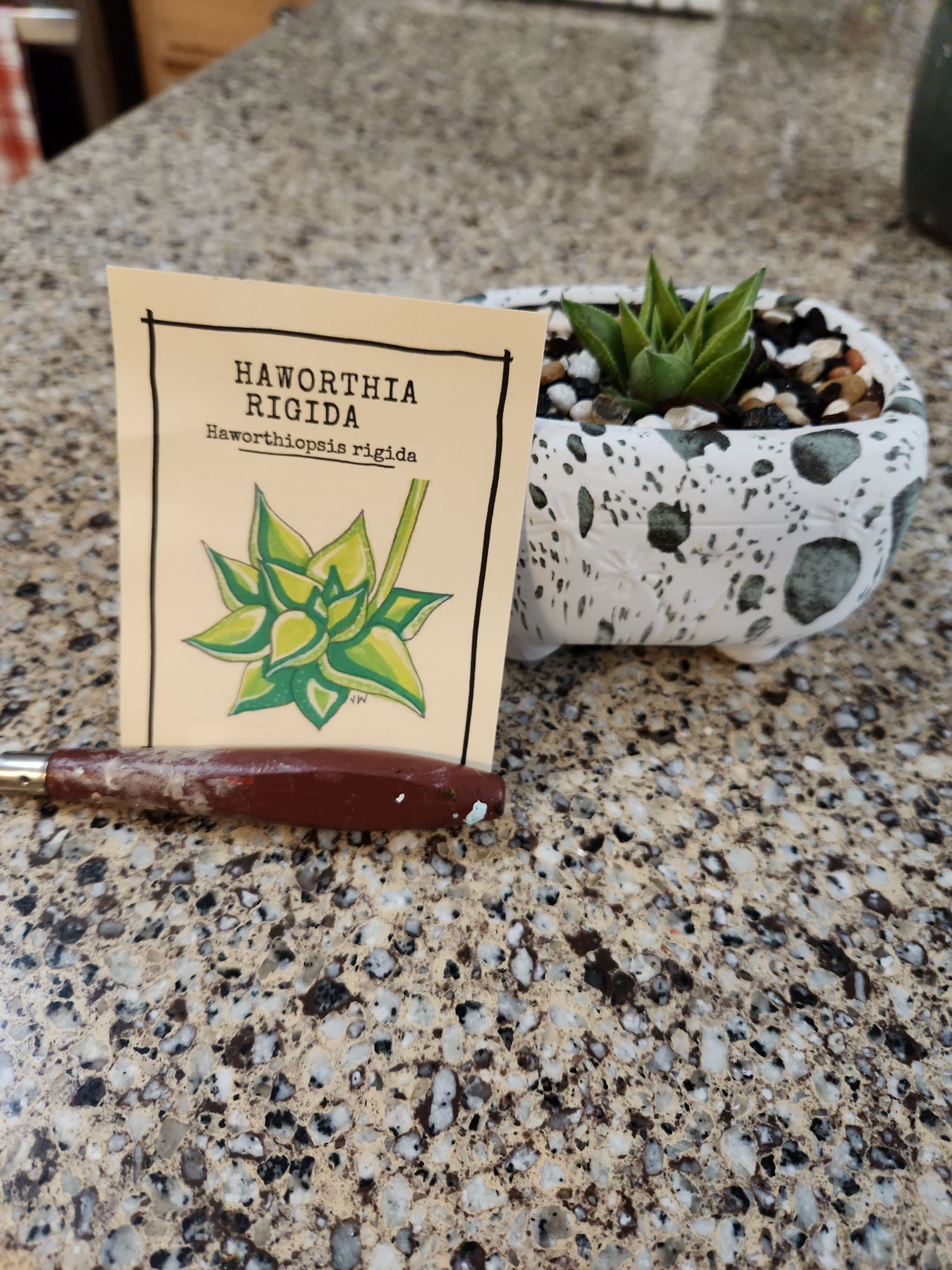 Photo from the post
