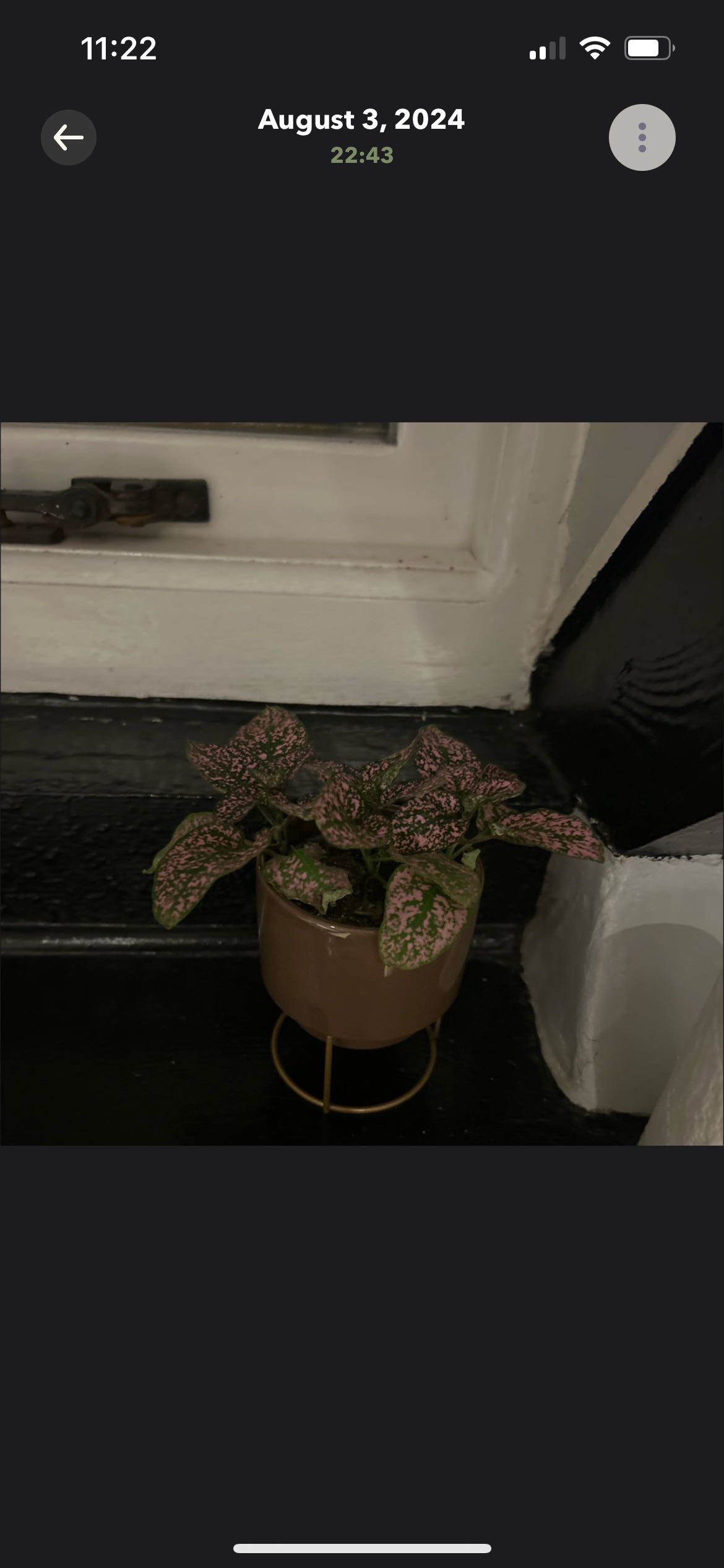 Photo from the post