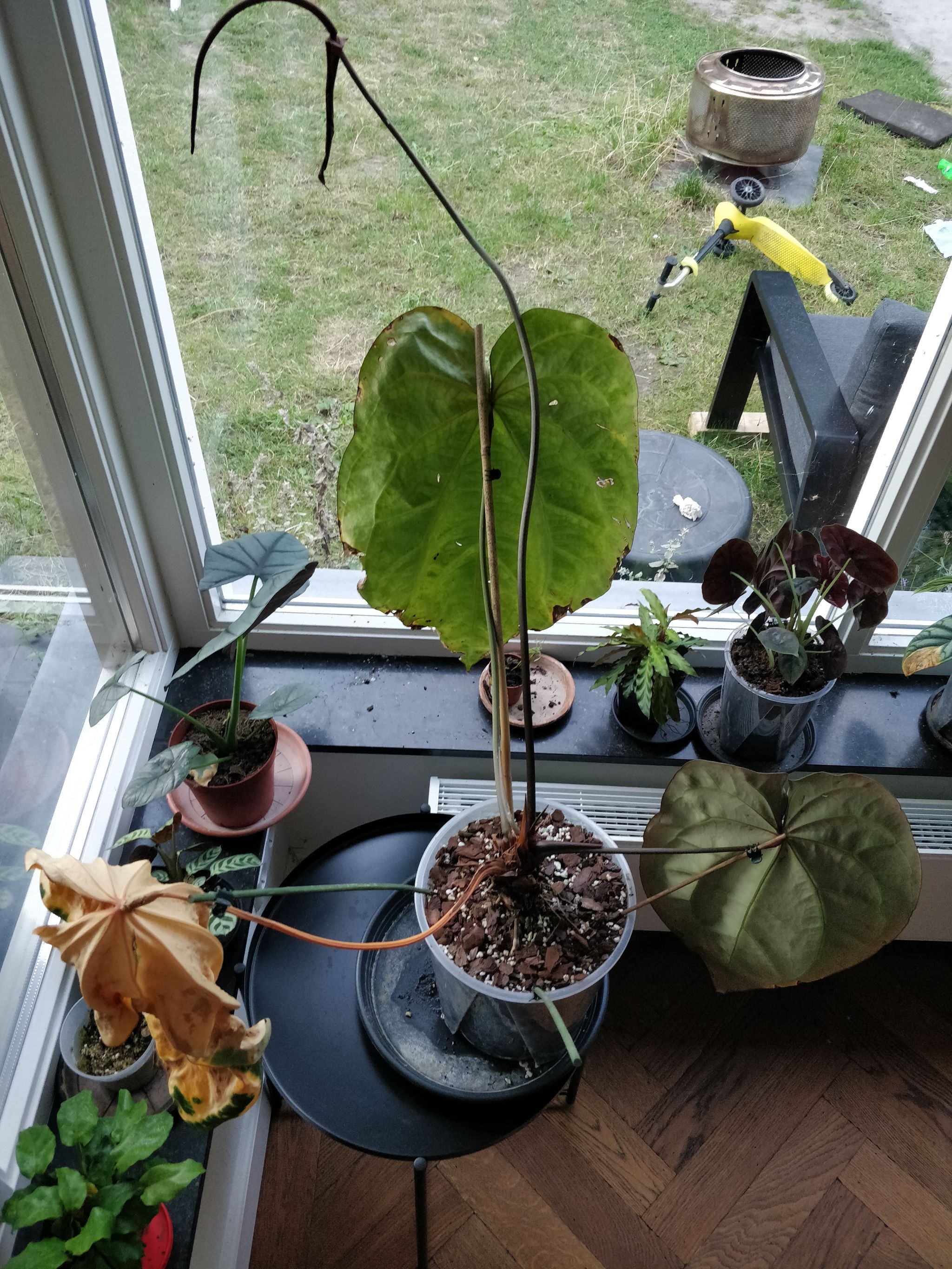 Photo from the post