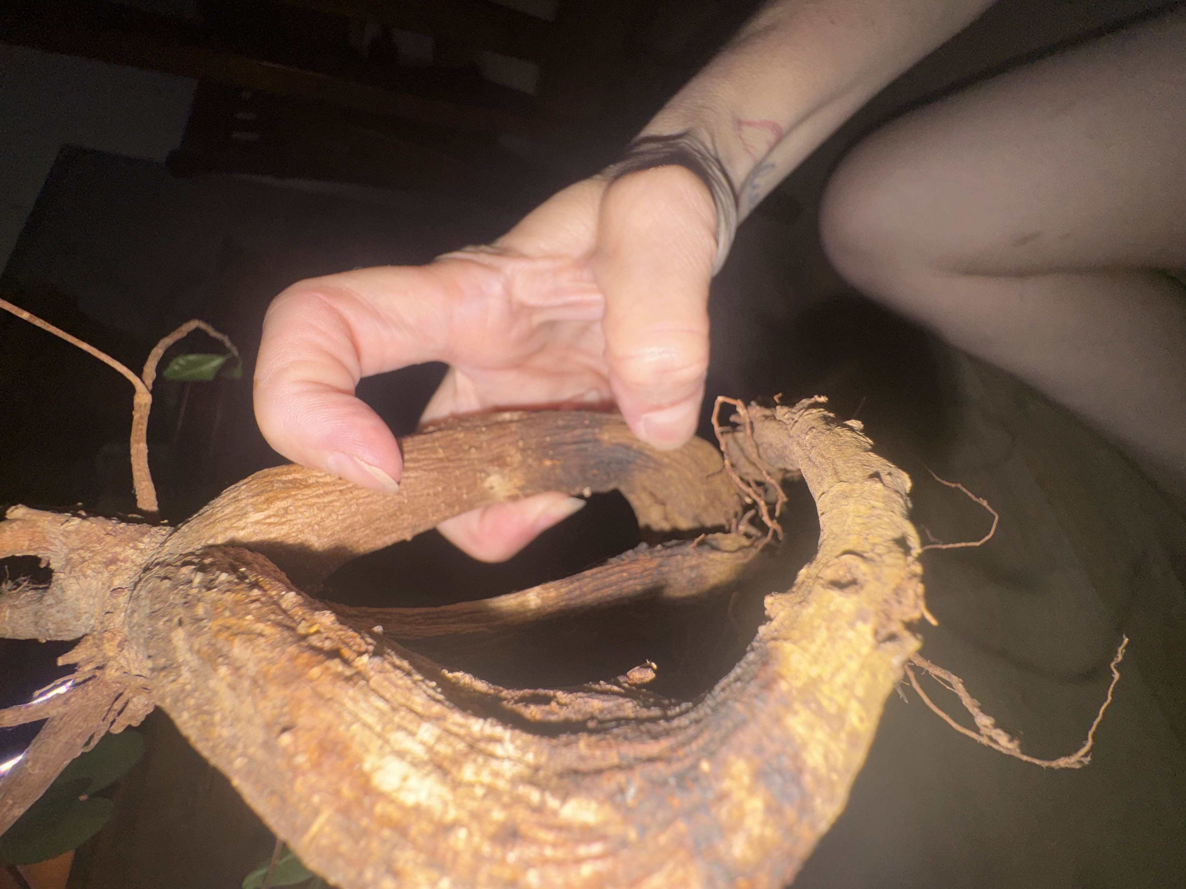 Photo from the post
