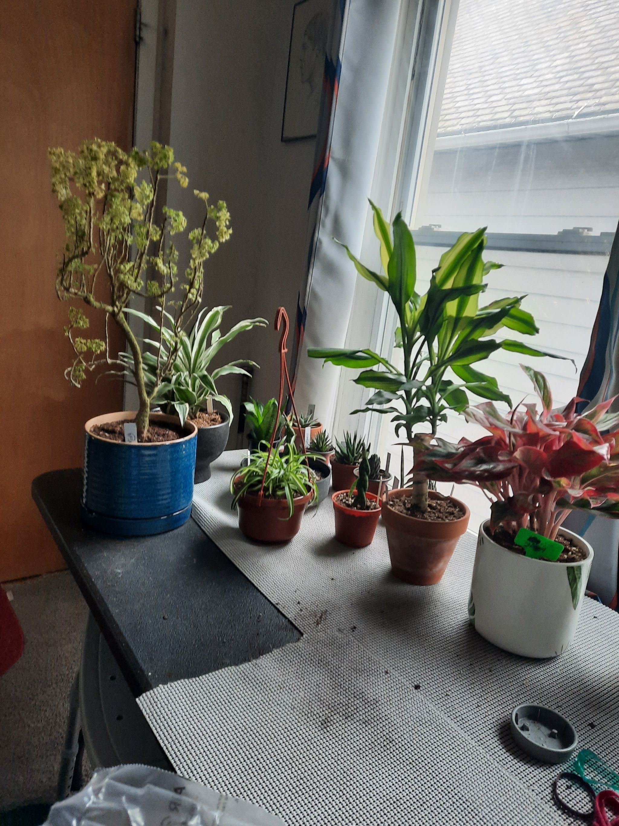 Photo from the post