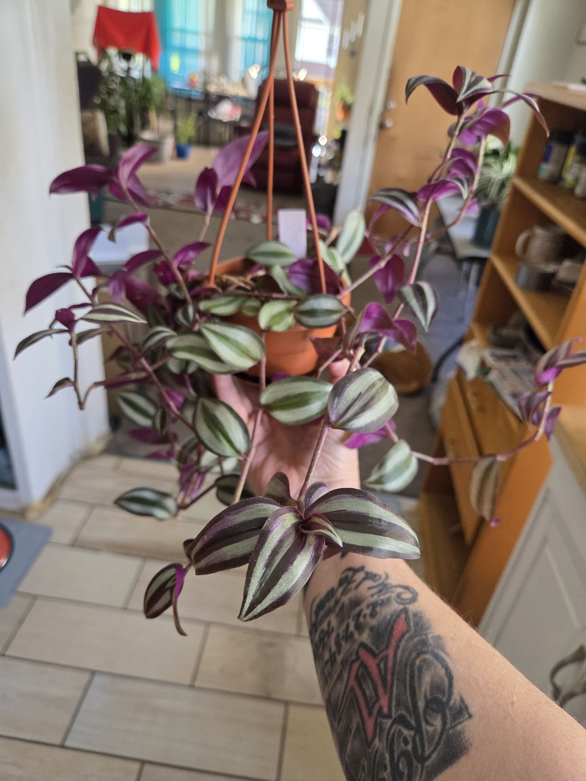 Photo from the post