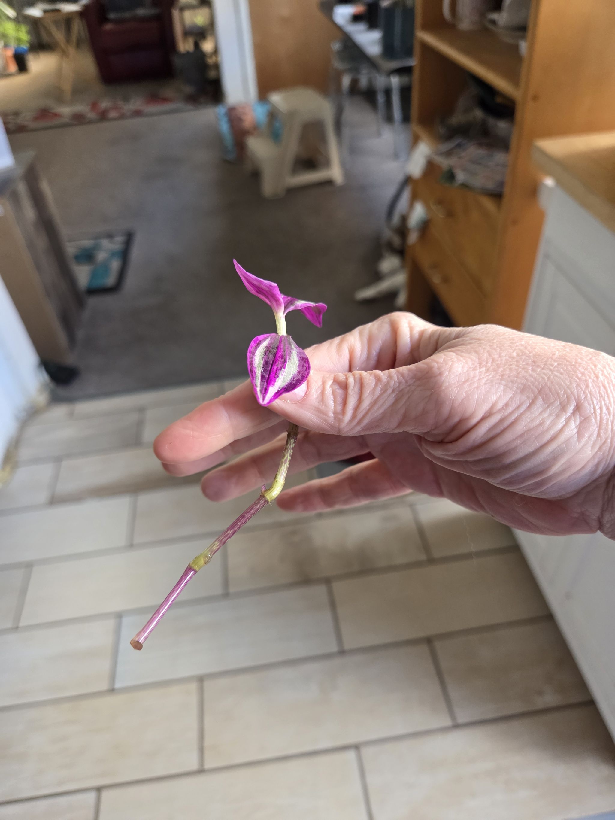 Photo from the post