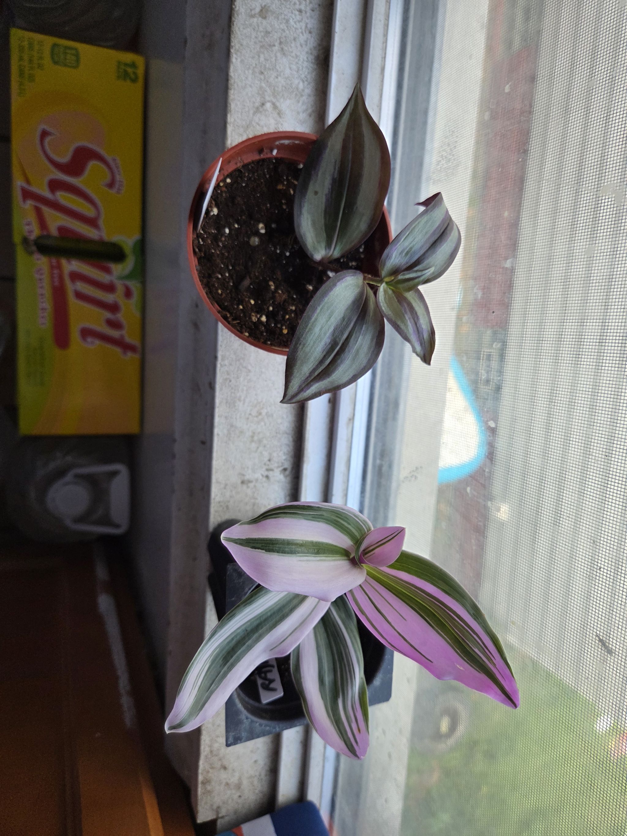 Photo from the post