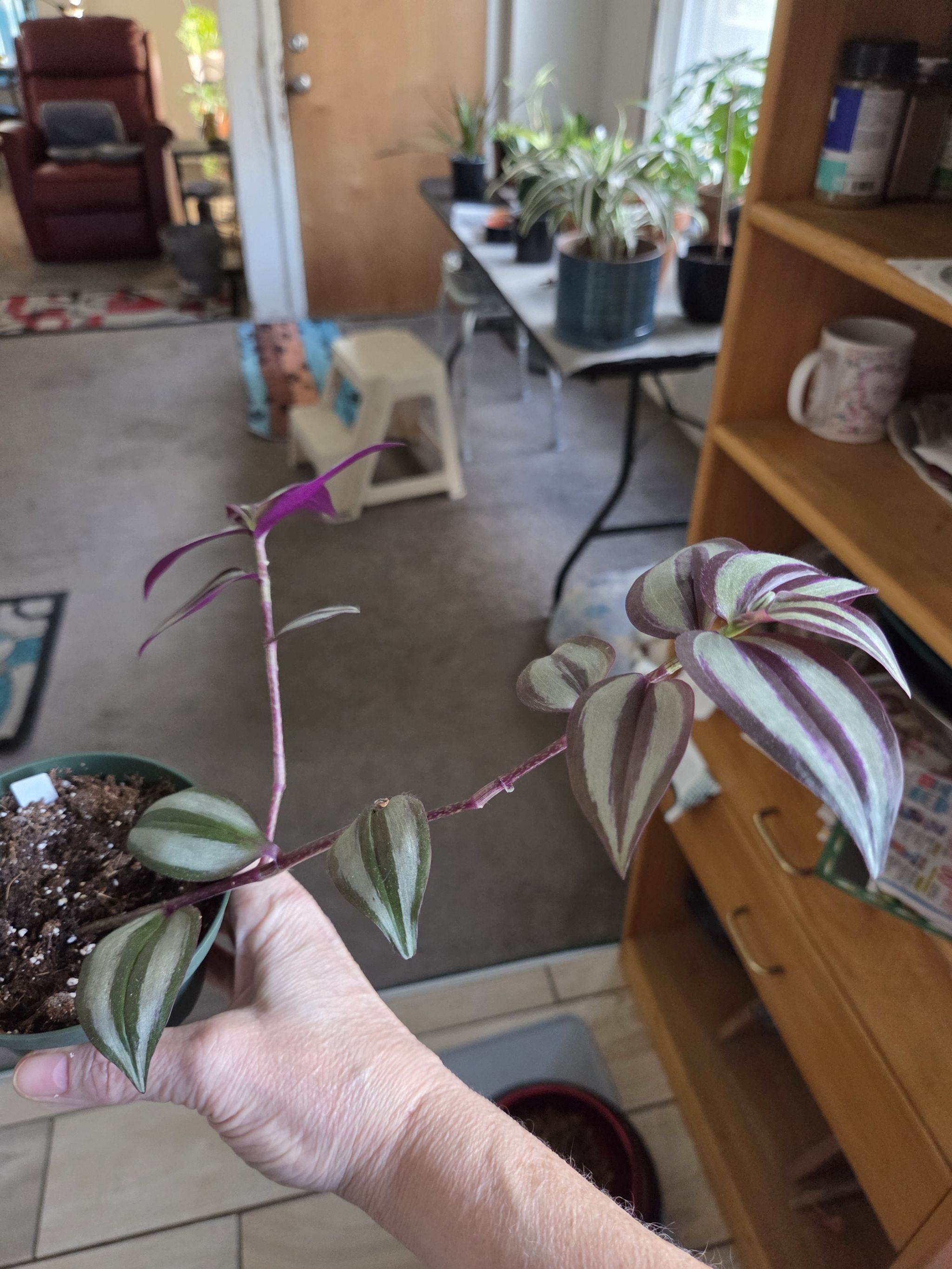 Photo from the post