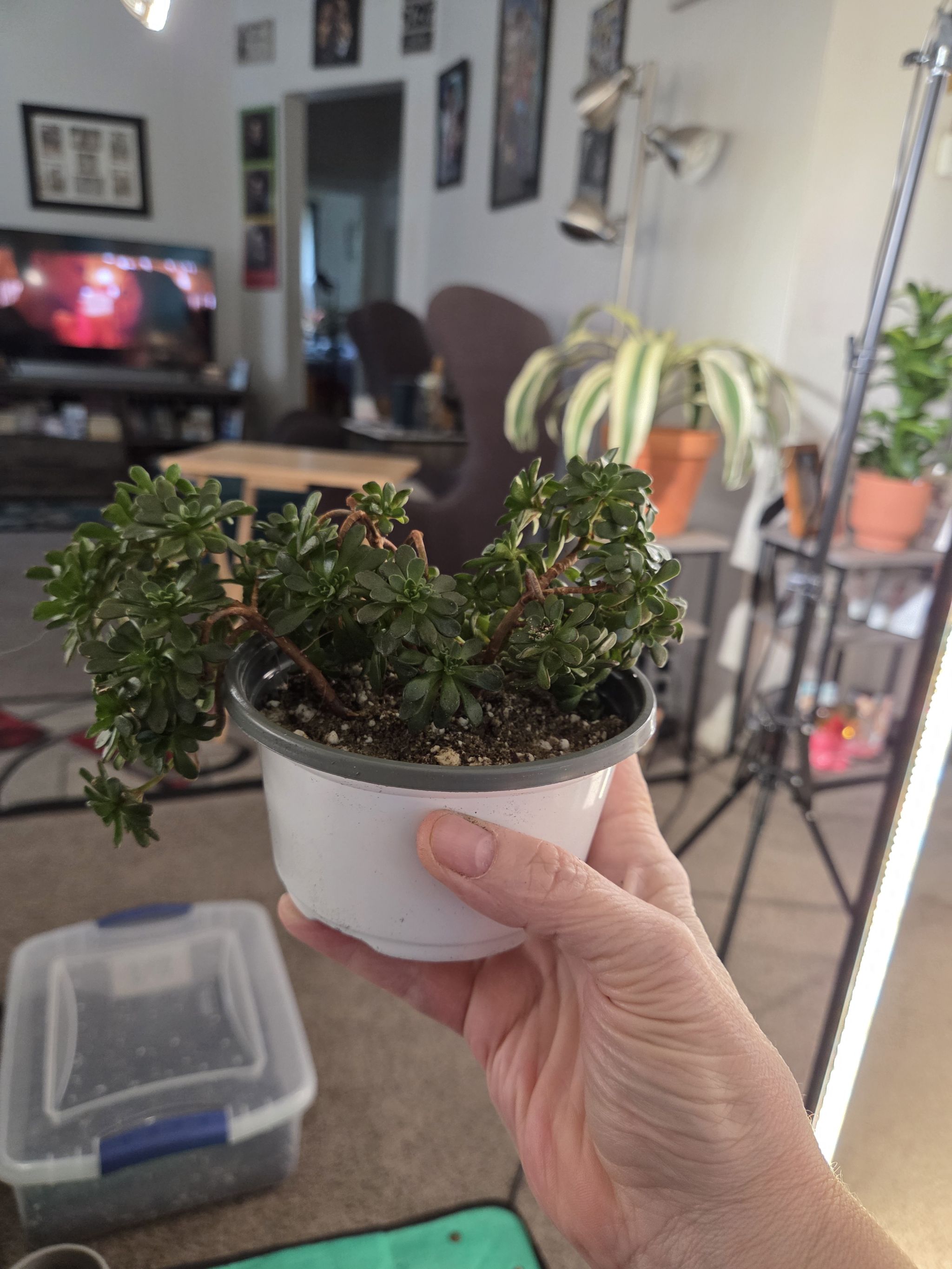 Photo from the post