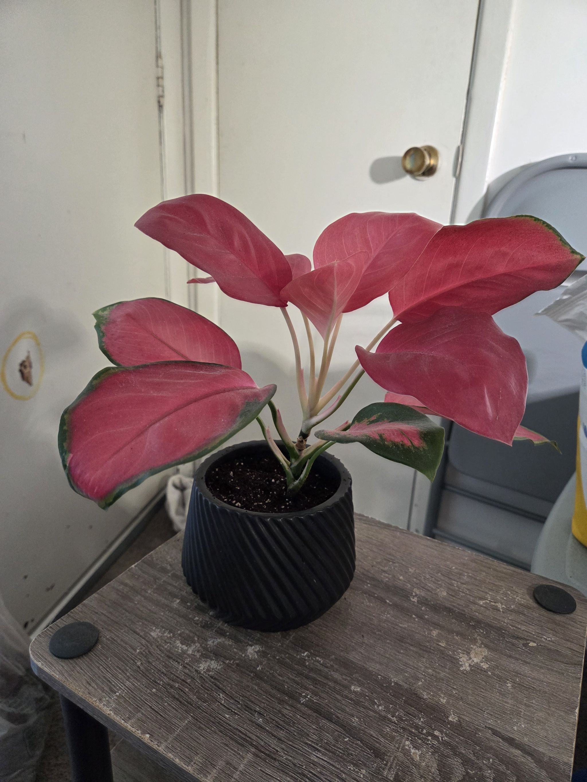 Photo from the post