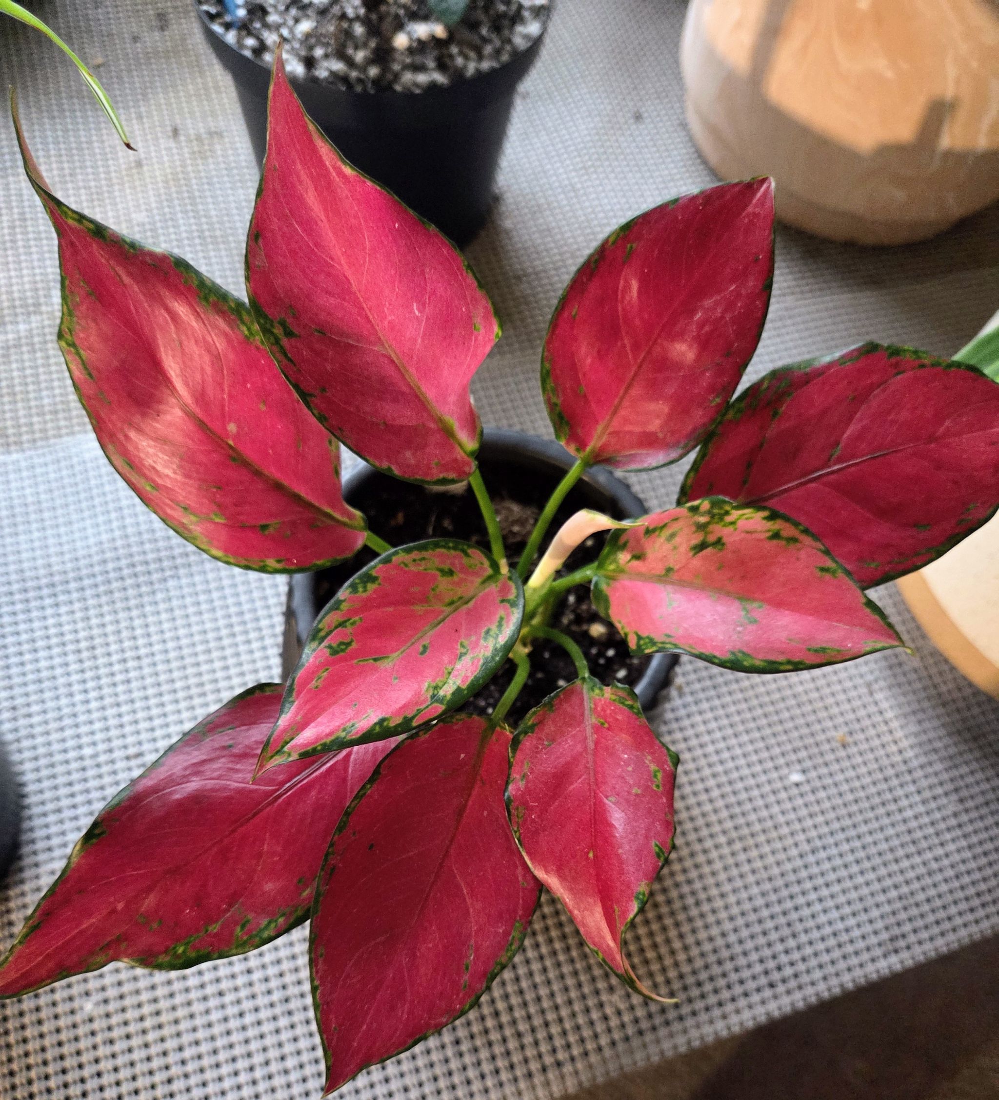 Photo from the post