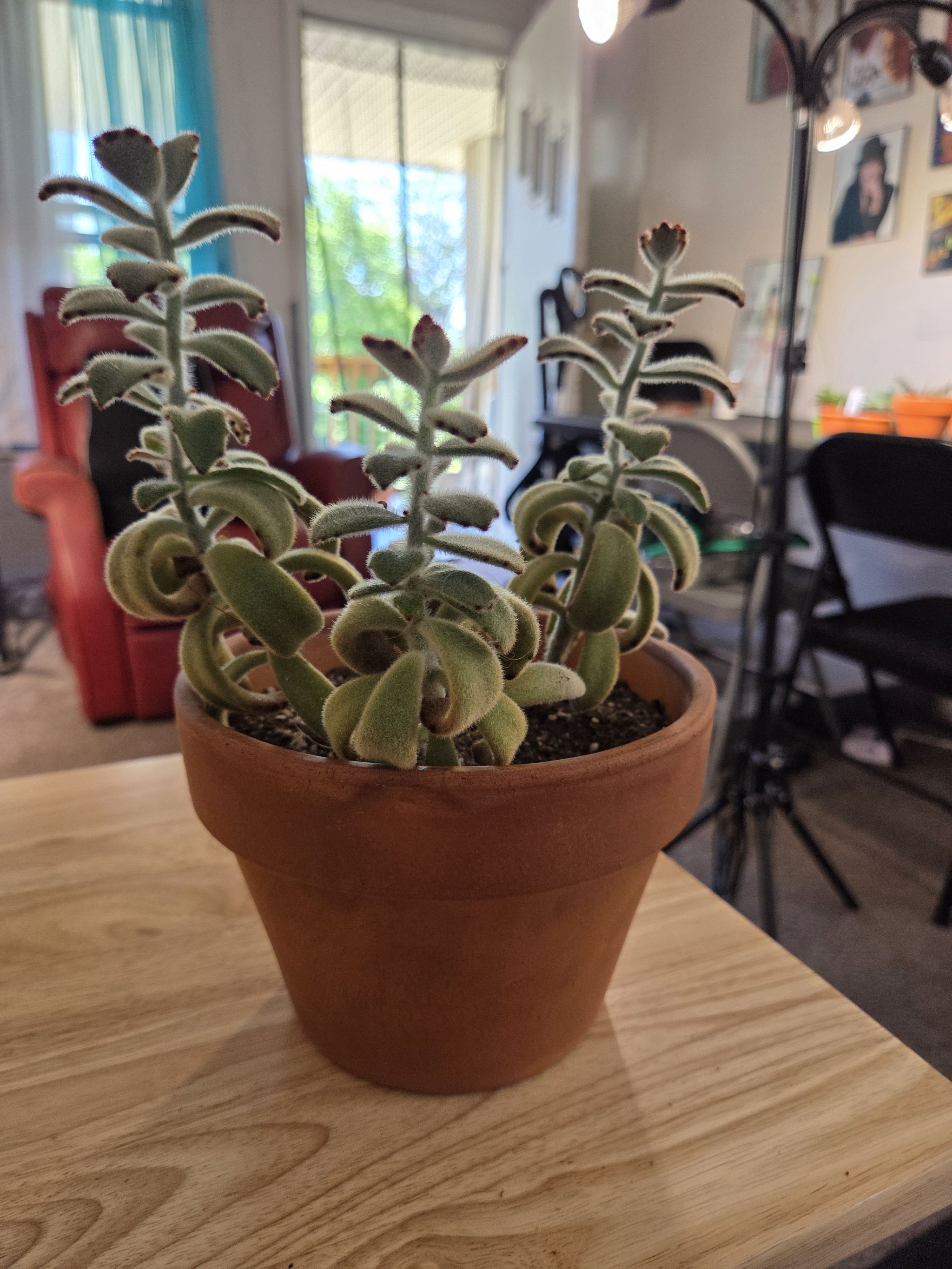 Photo from the post