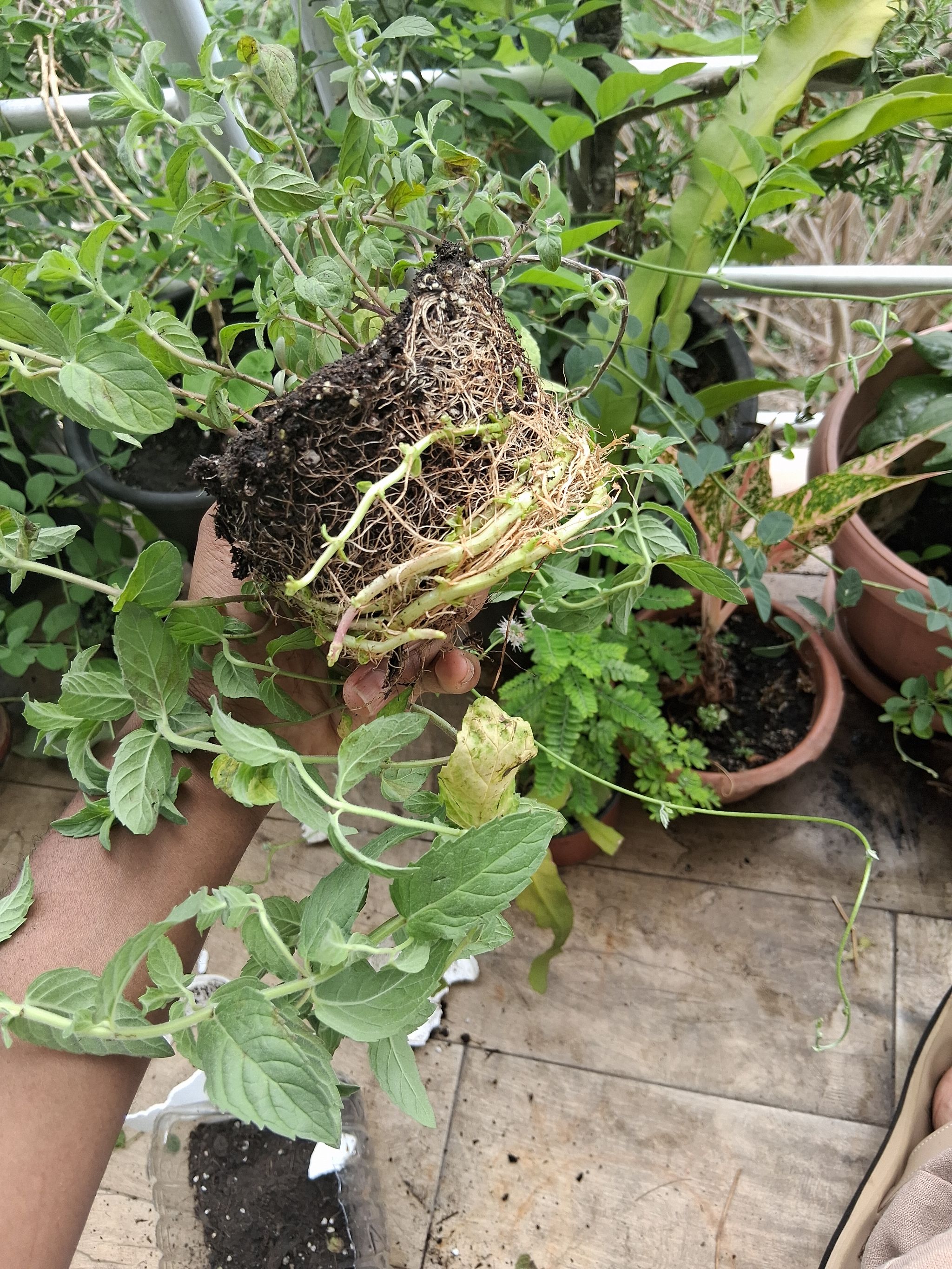 Photo from the post