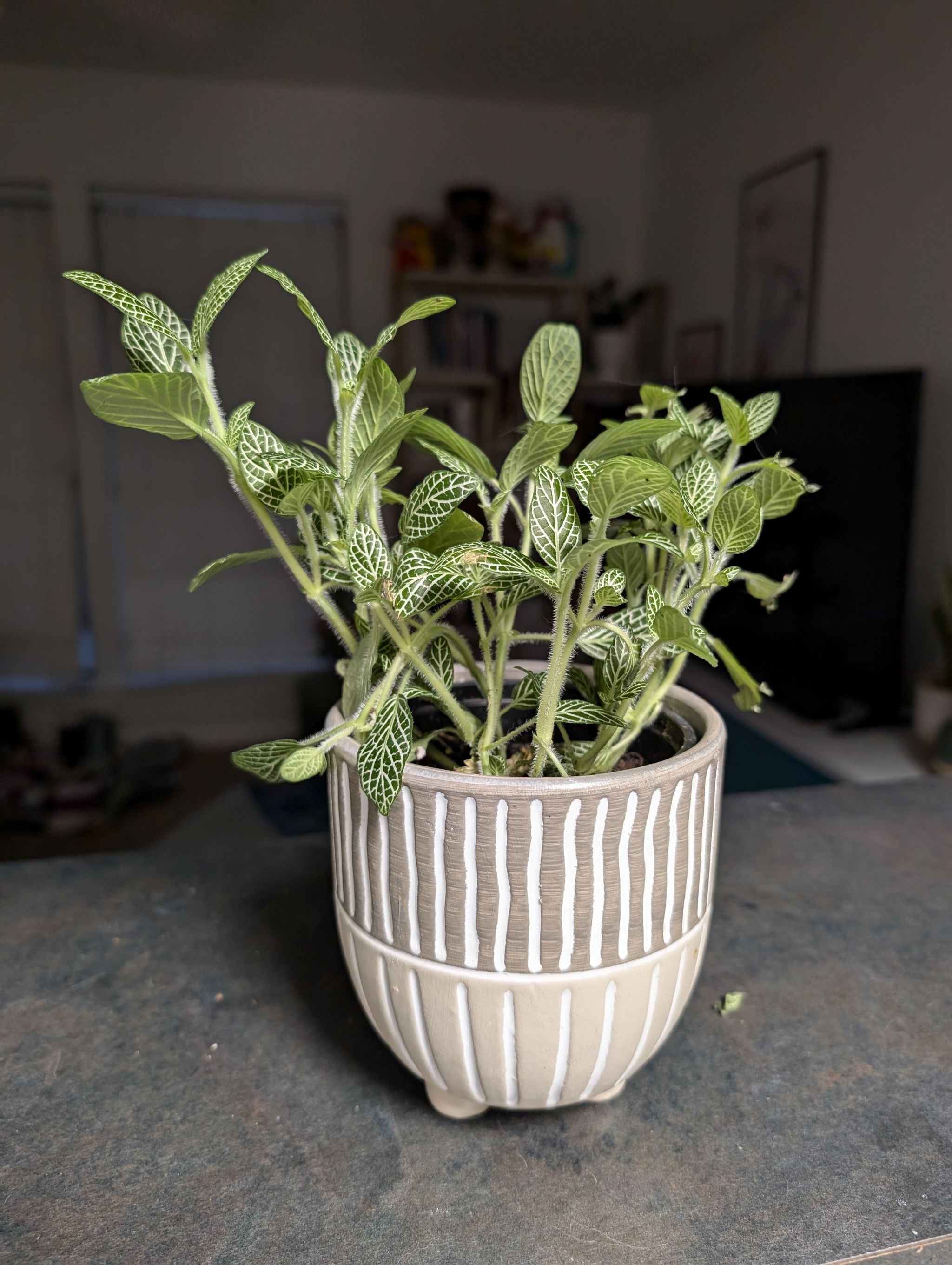 Photo from the post