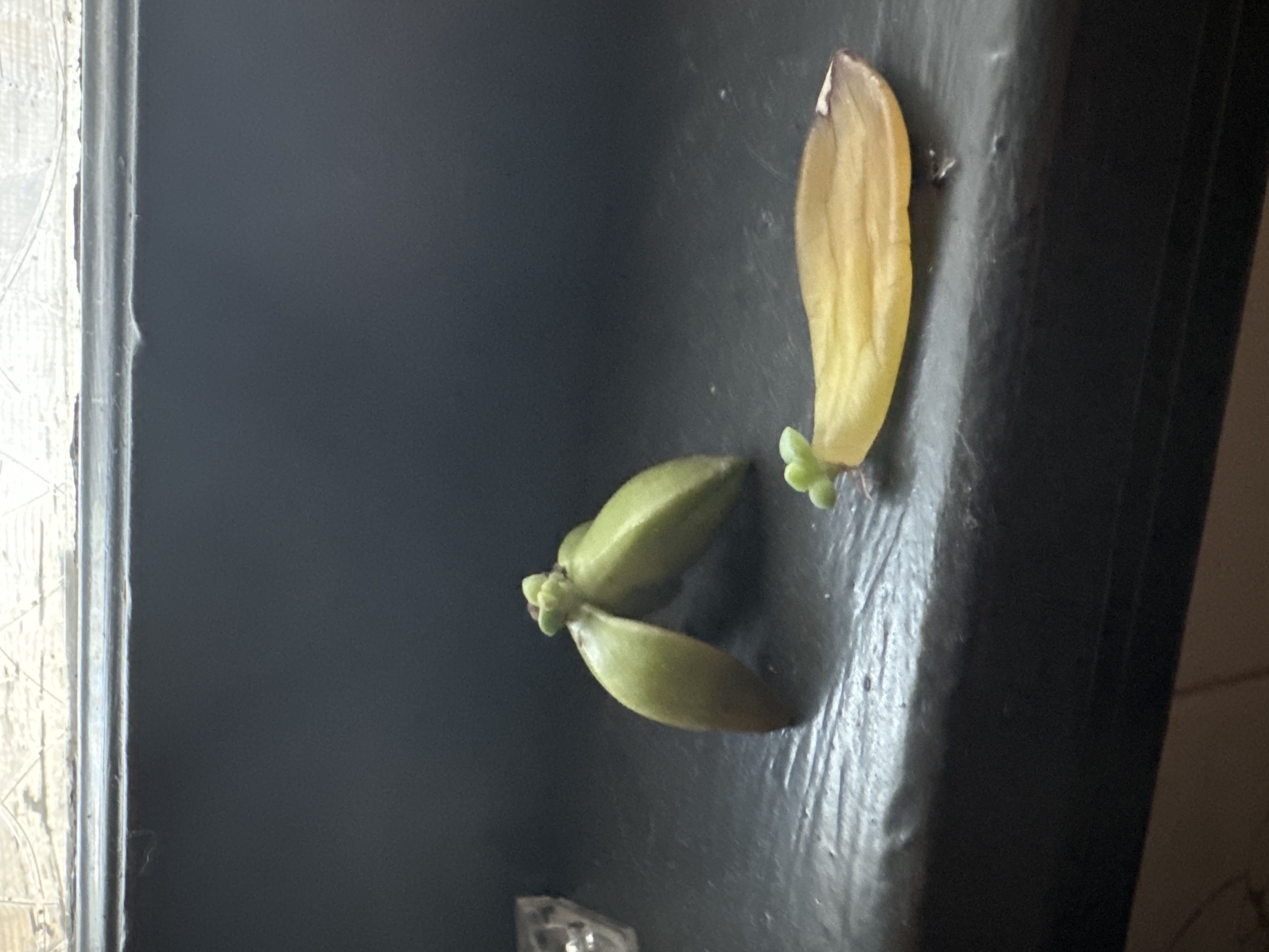 Photo from the post