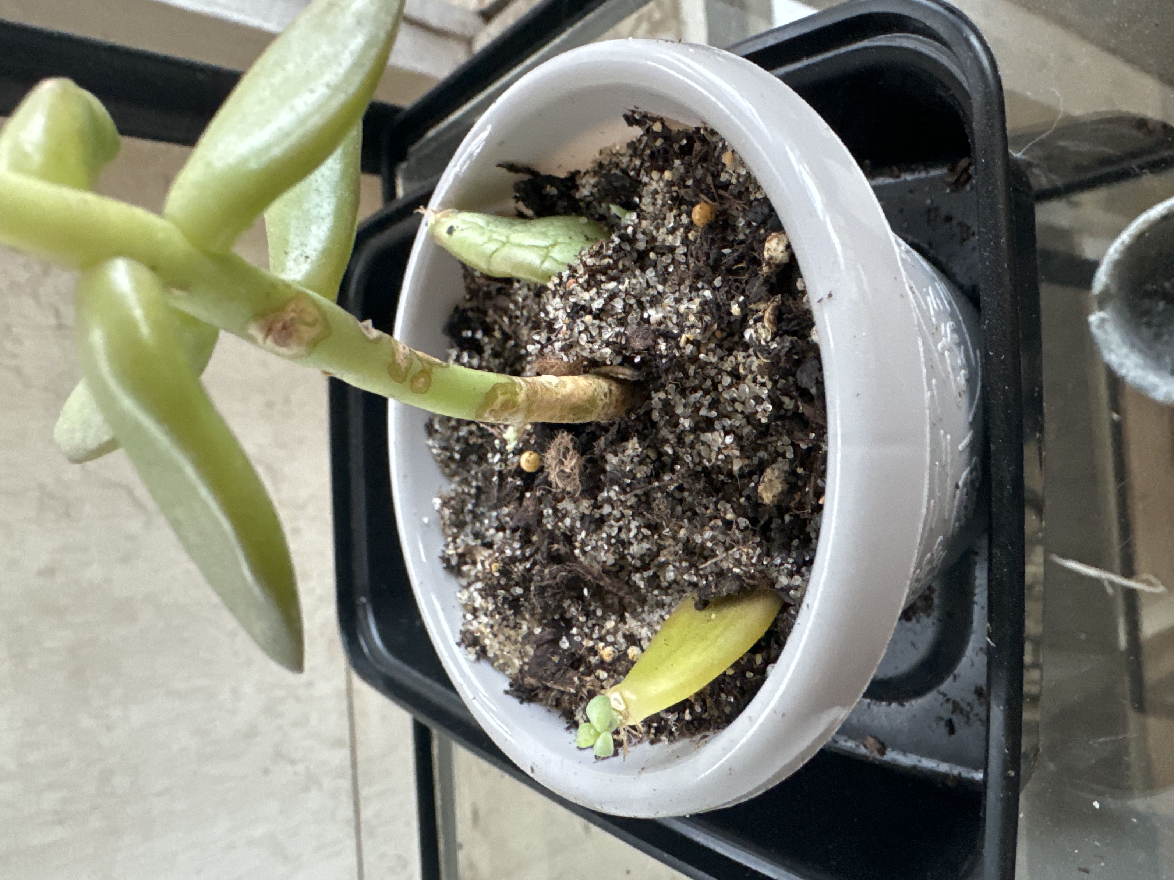 Photo from the post
