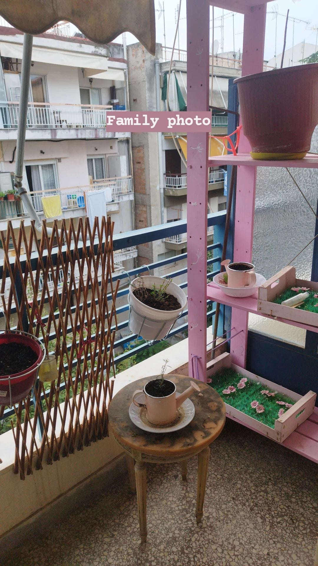 Coastal Sage How Much Water & Light Does it Need to Thrive?