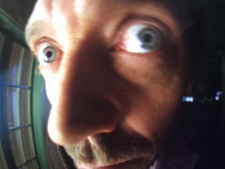 🌱 StepbyStep Guide for When to Plant Corsican Mint