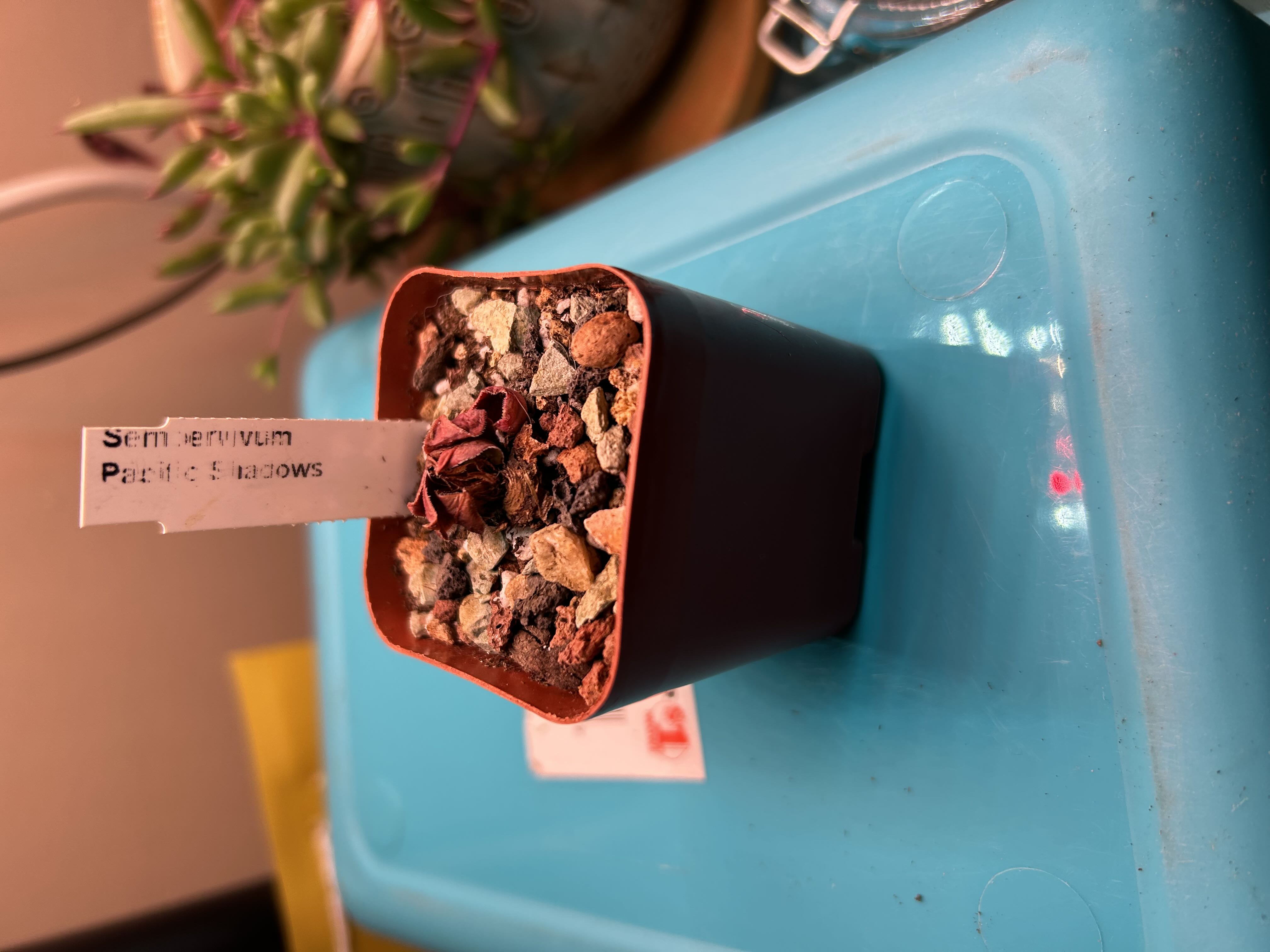 Photo from the post