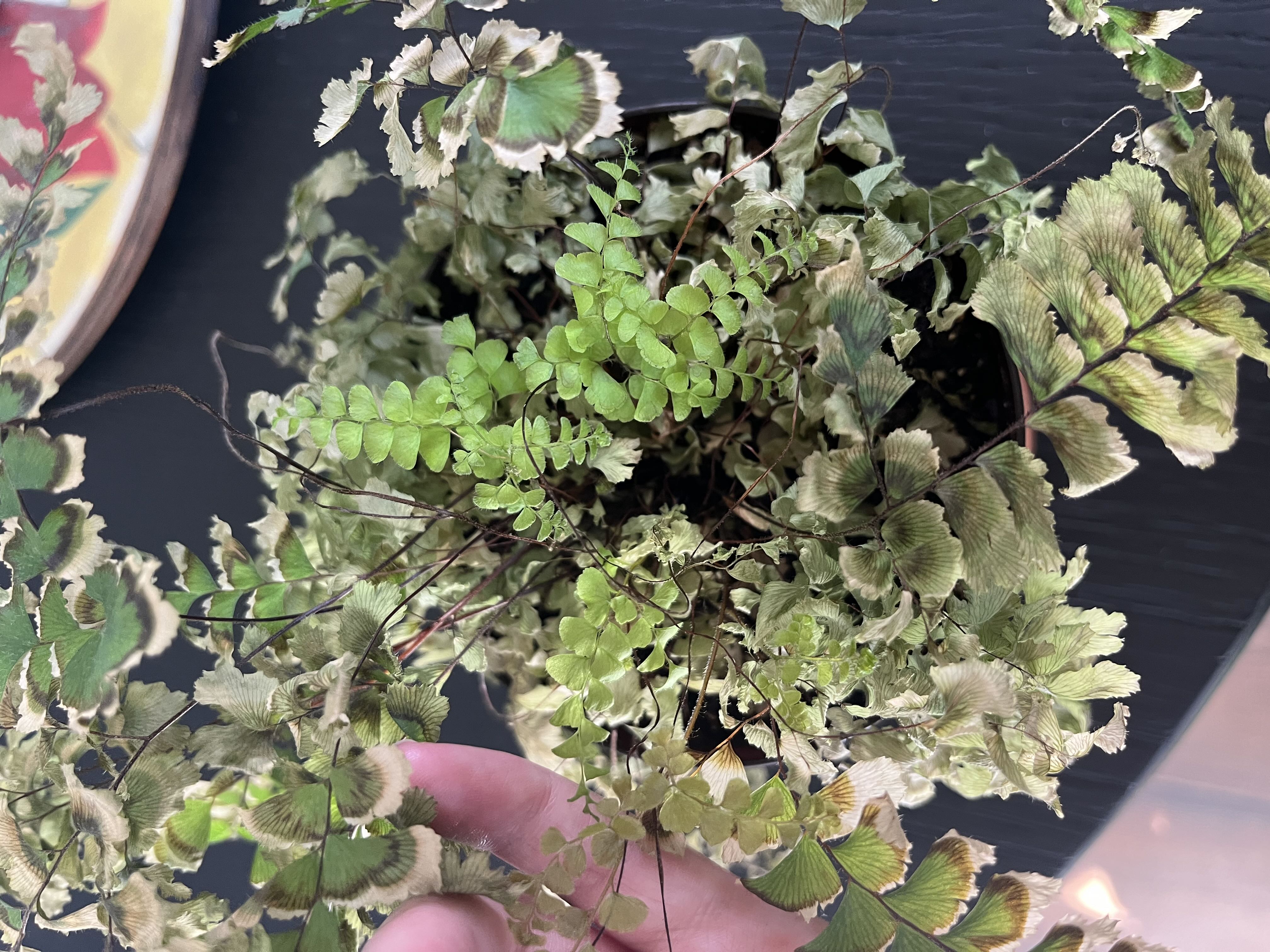 Photo from the post