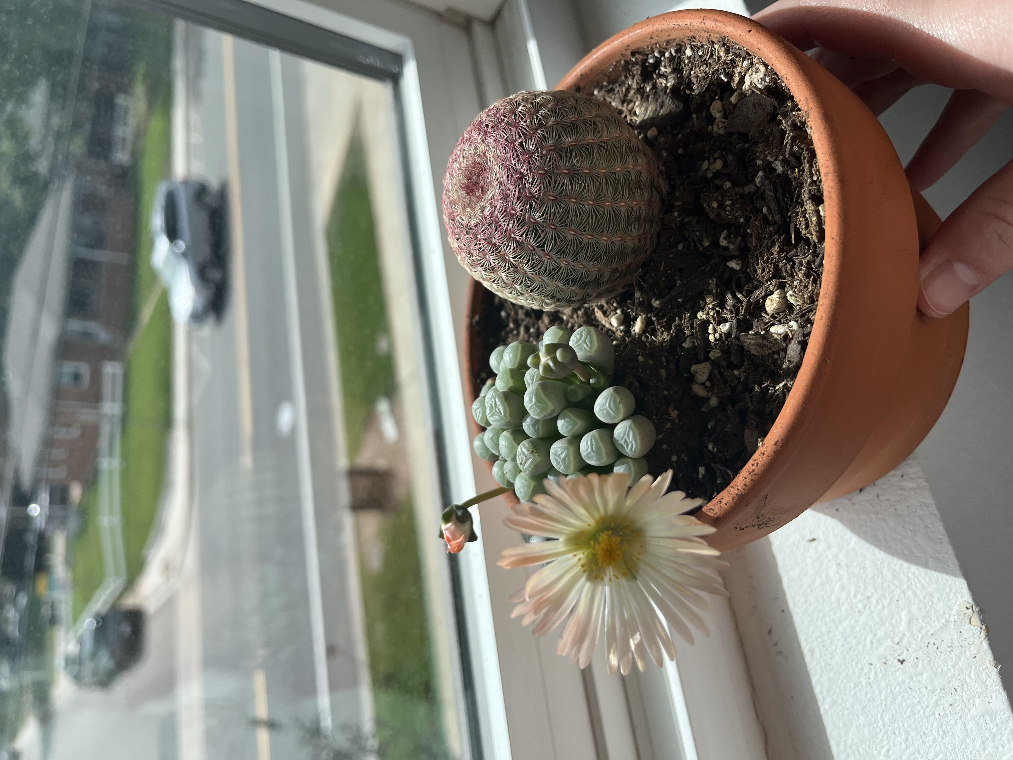 Photo from the post