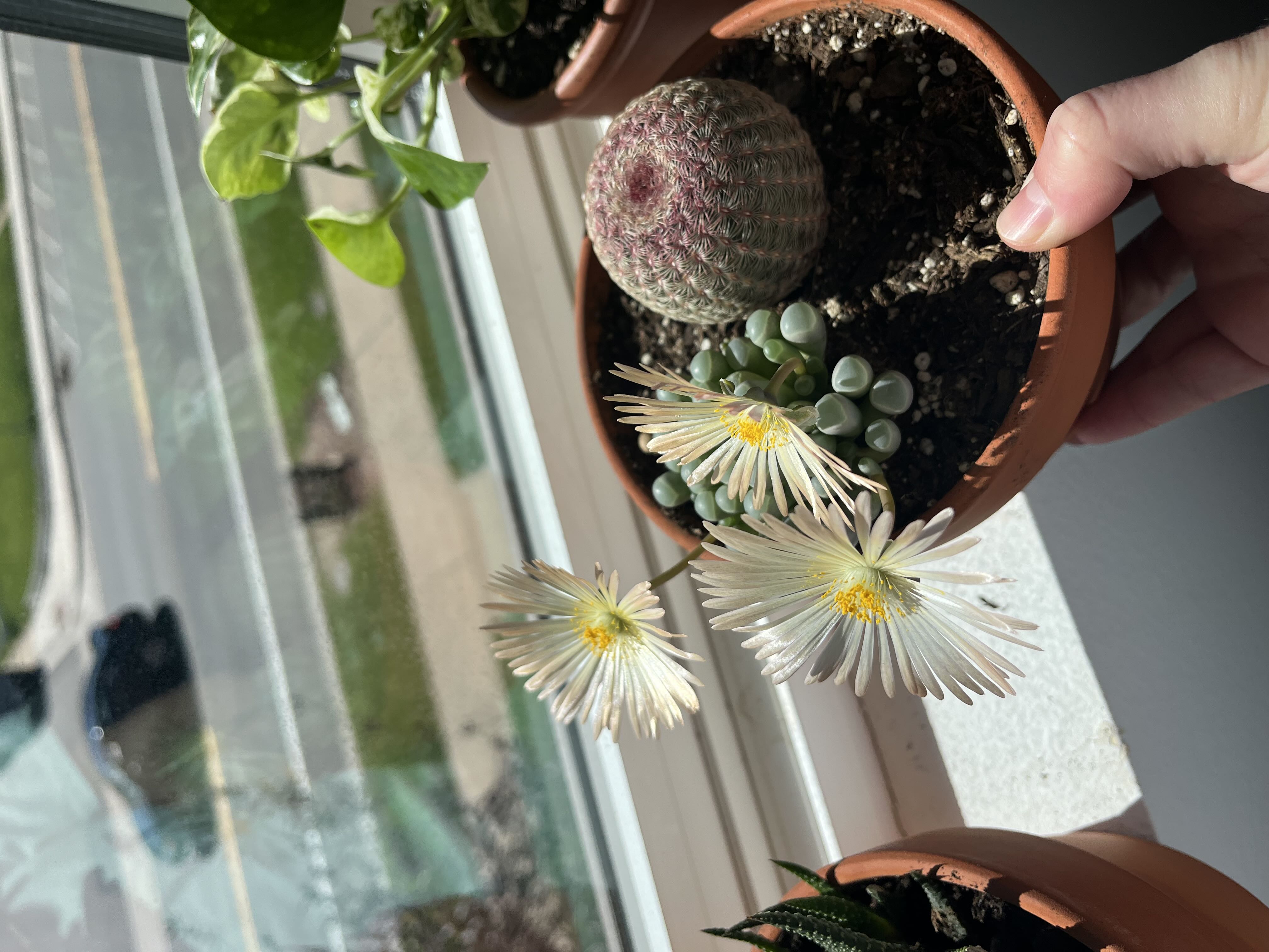 Photo from the post