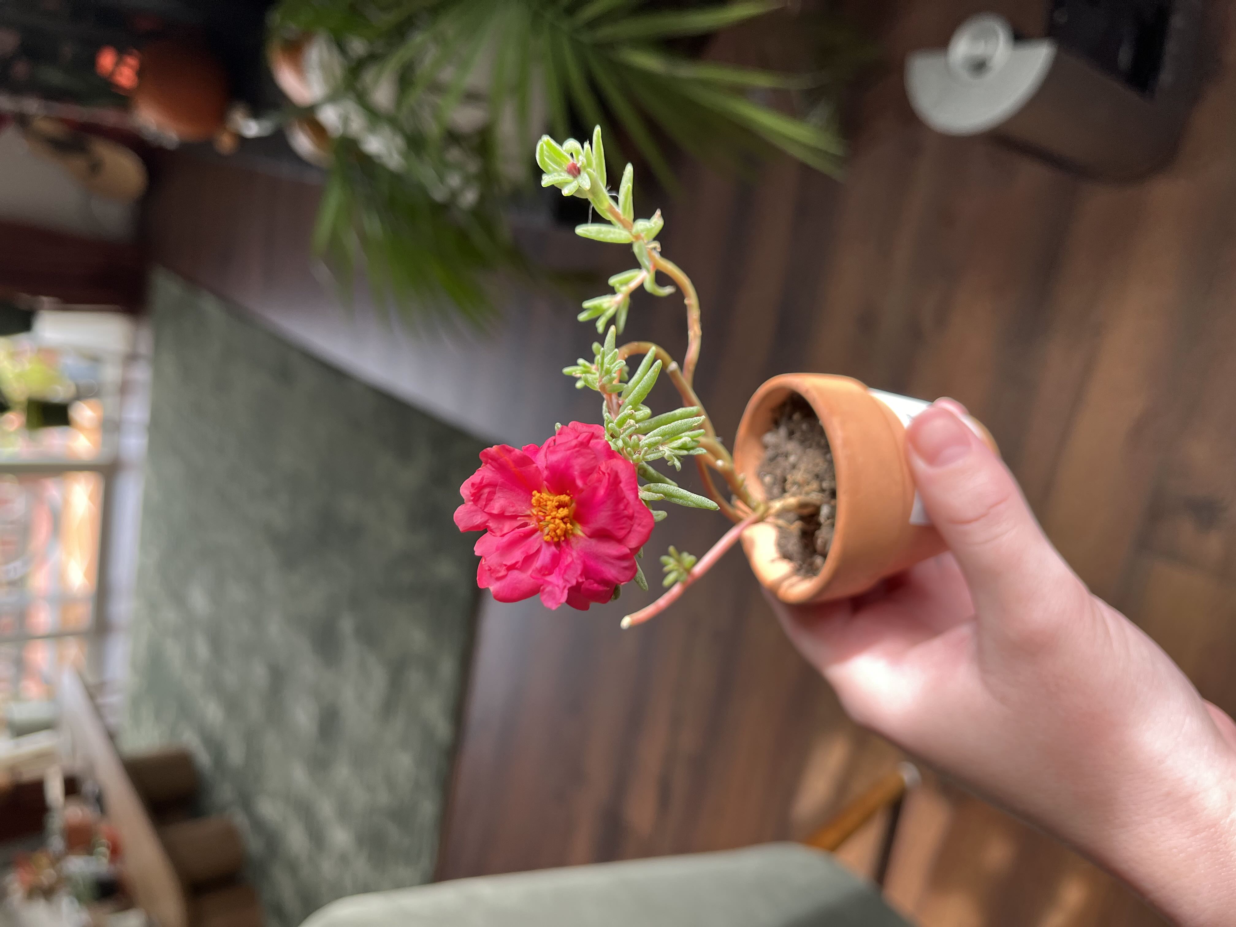 Photo from the post