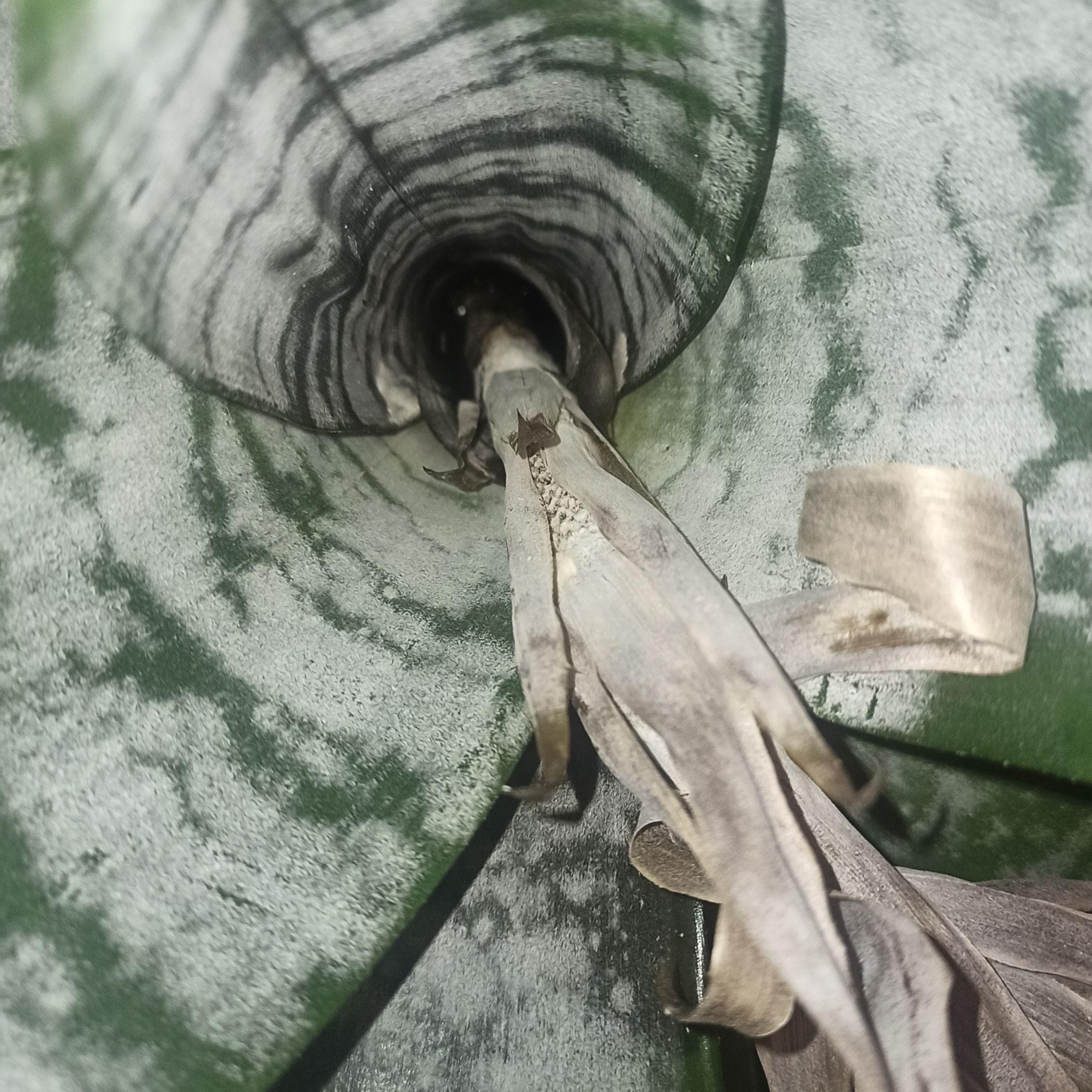 Photo from the post