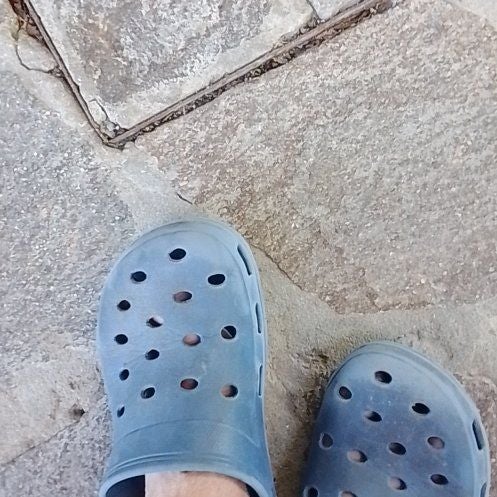 Photo of the plant species Texas Vervain by @UberRoccaverde named Walt on Greg, the plant care app