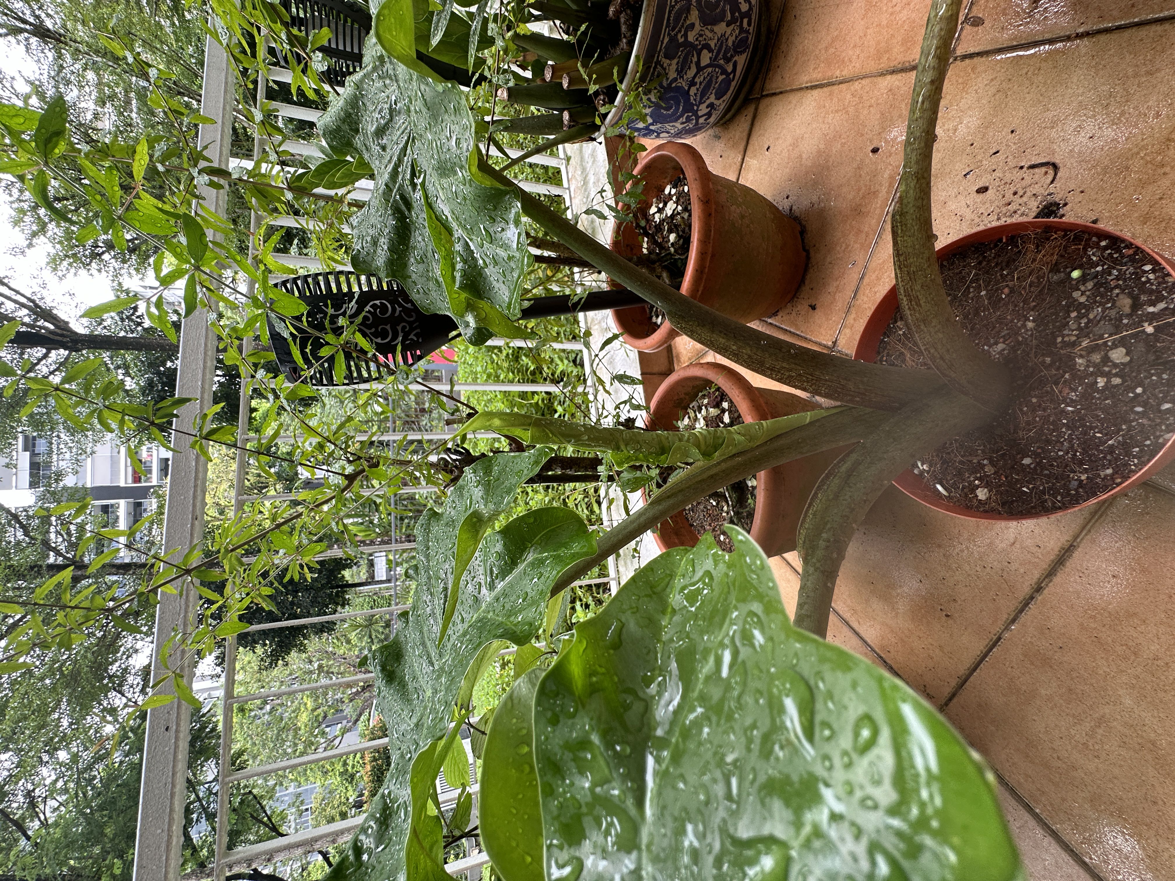 Photo from the post